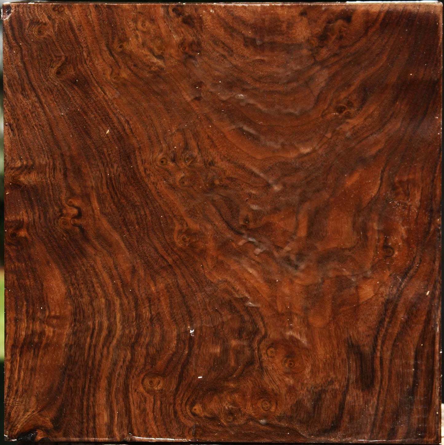 Extra Fancy Claro Walnut Bowl Blank