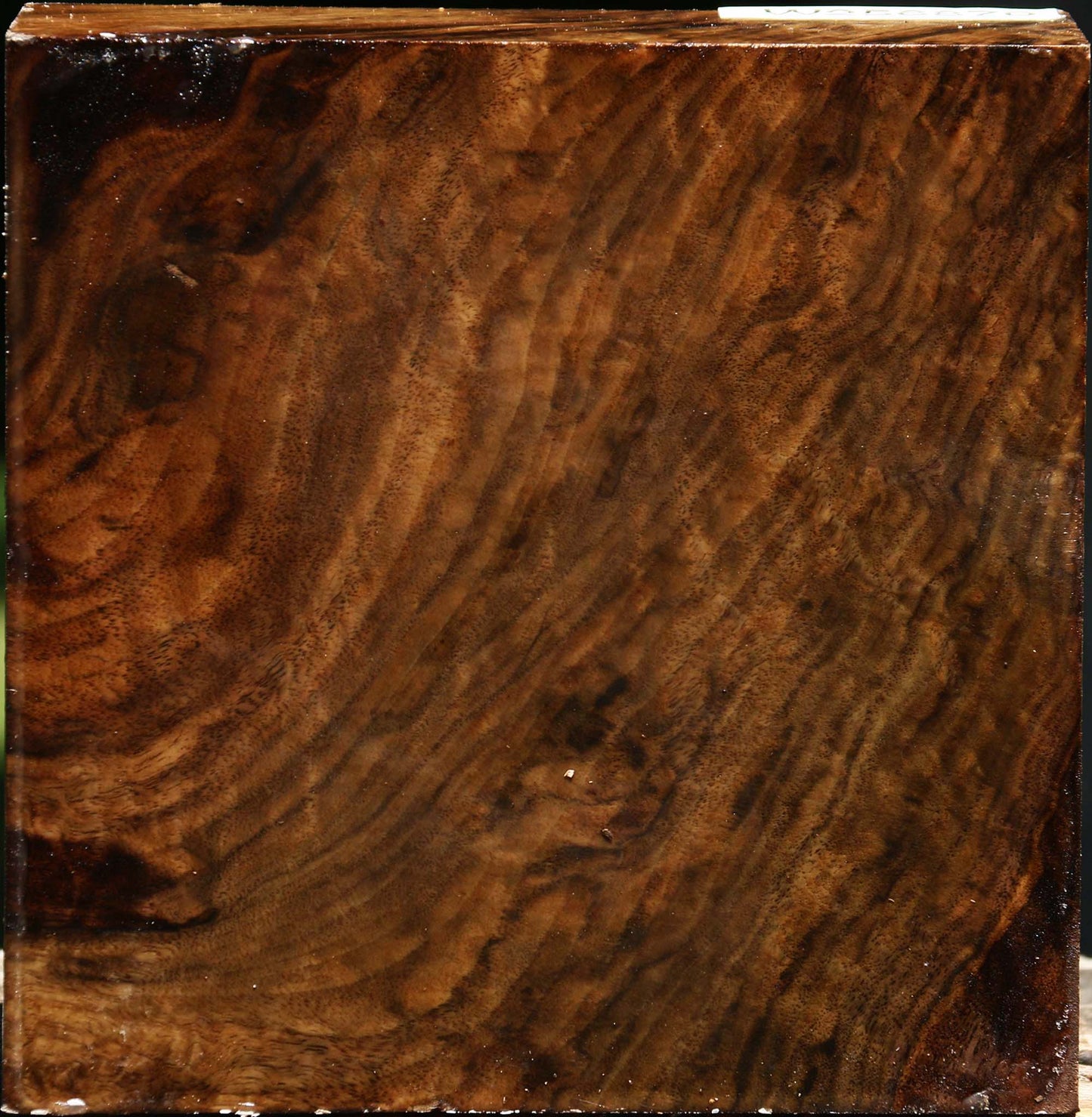 Extra Fancy Claro Walnut Bowl Blank