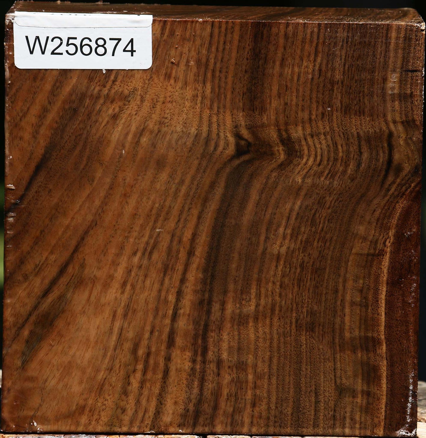 Claro Walnut Bowl Blank
