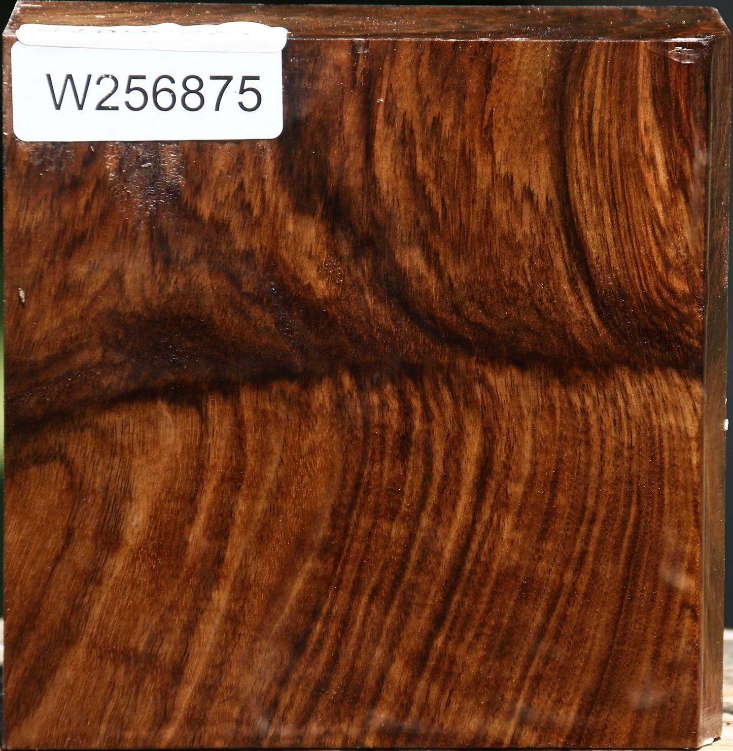 Grafted Claro/English Walnut Bowl Blank
