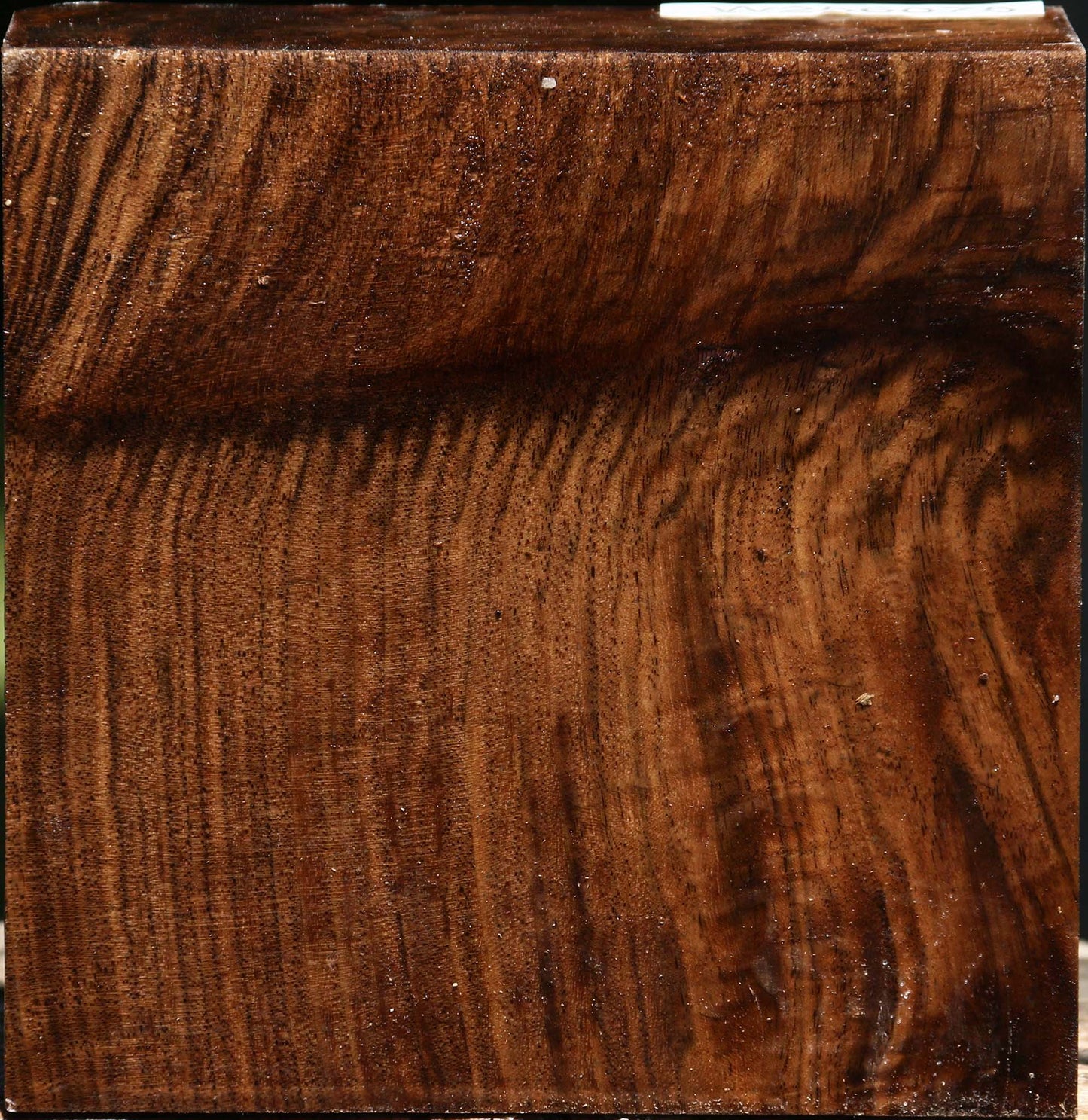 Grafted Claro/English Walnut Bowl Blank