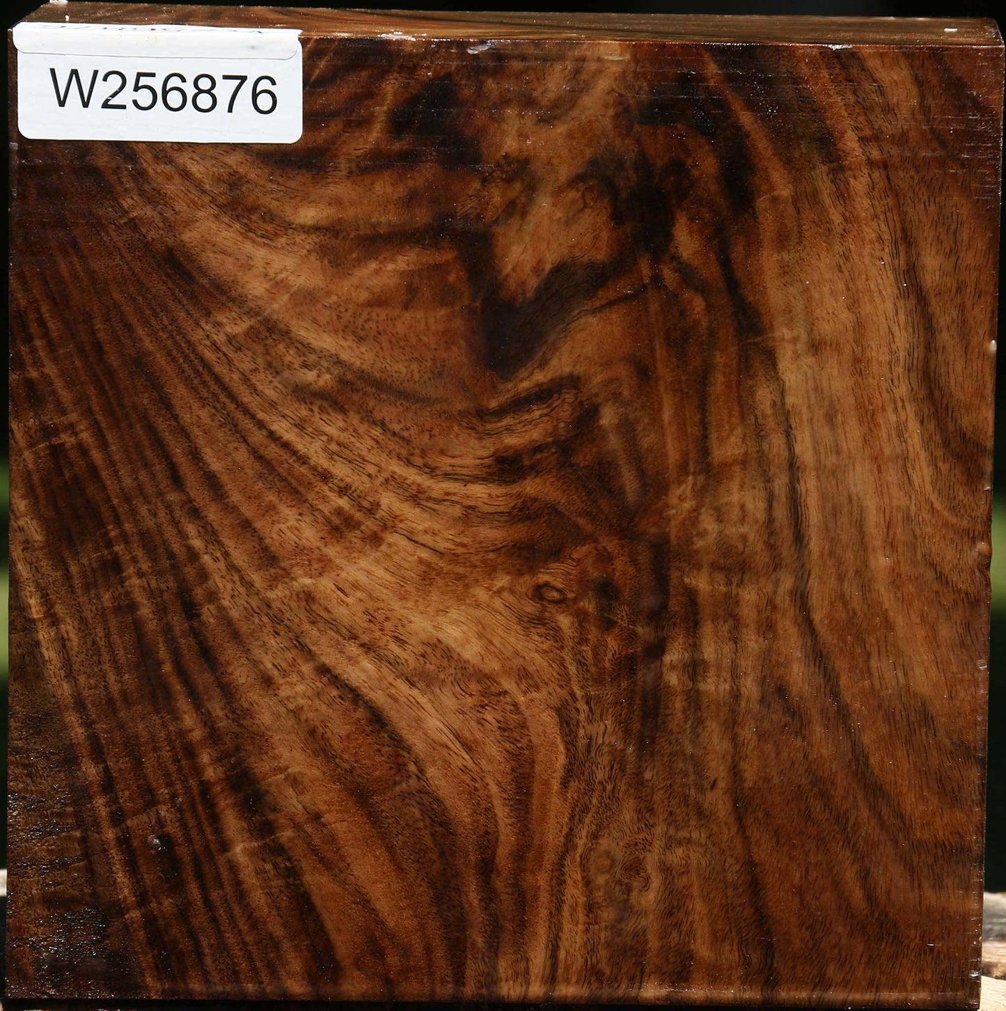 Extra Fancy Claro Walnut Bowl Blank
