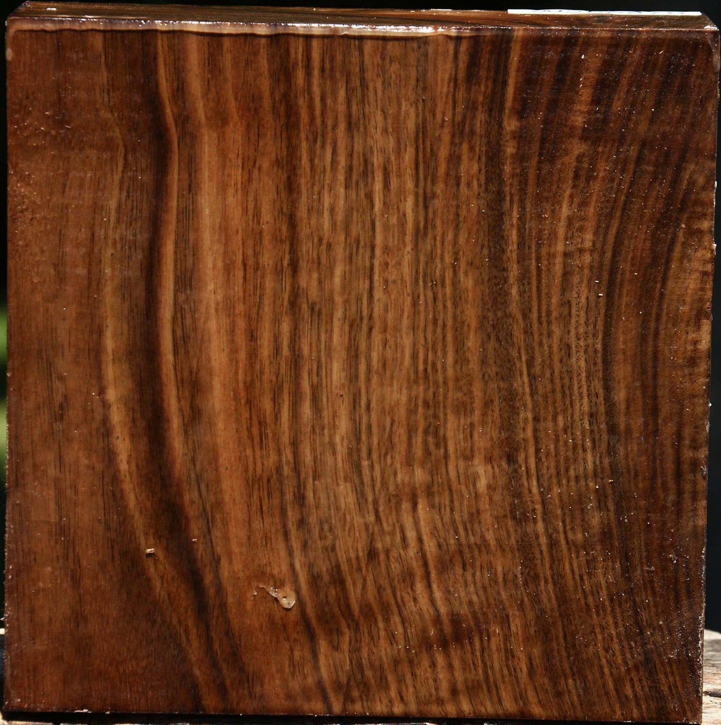 Extra Fancy Claro Walnut Bowl Blank