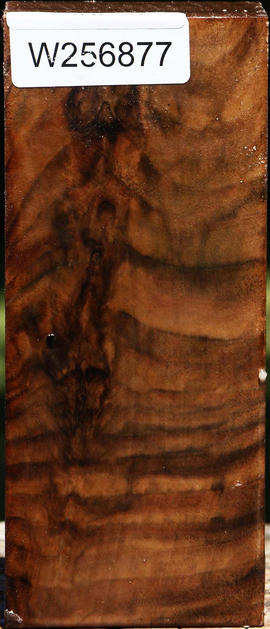 Figured Claro Walnut Turning Square