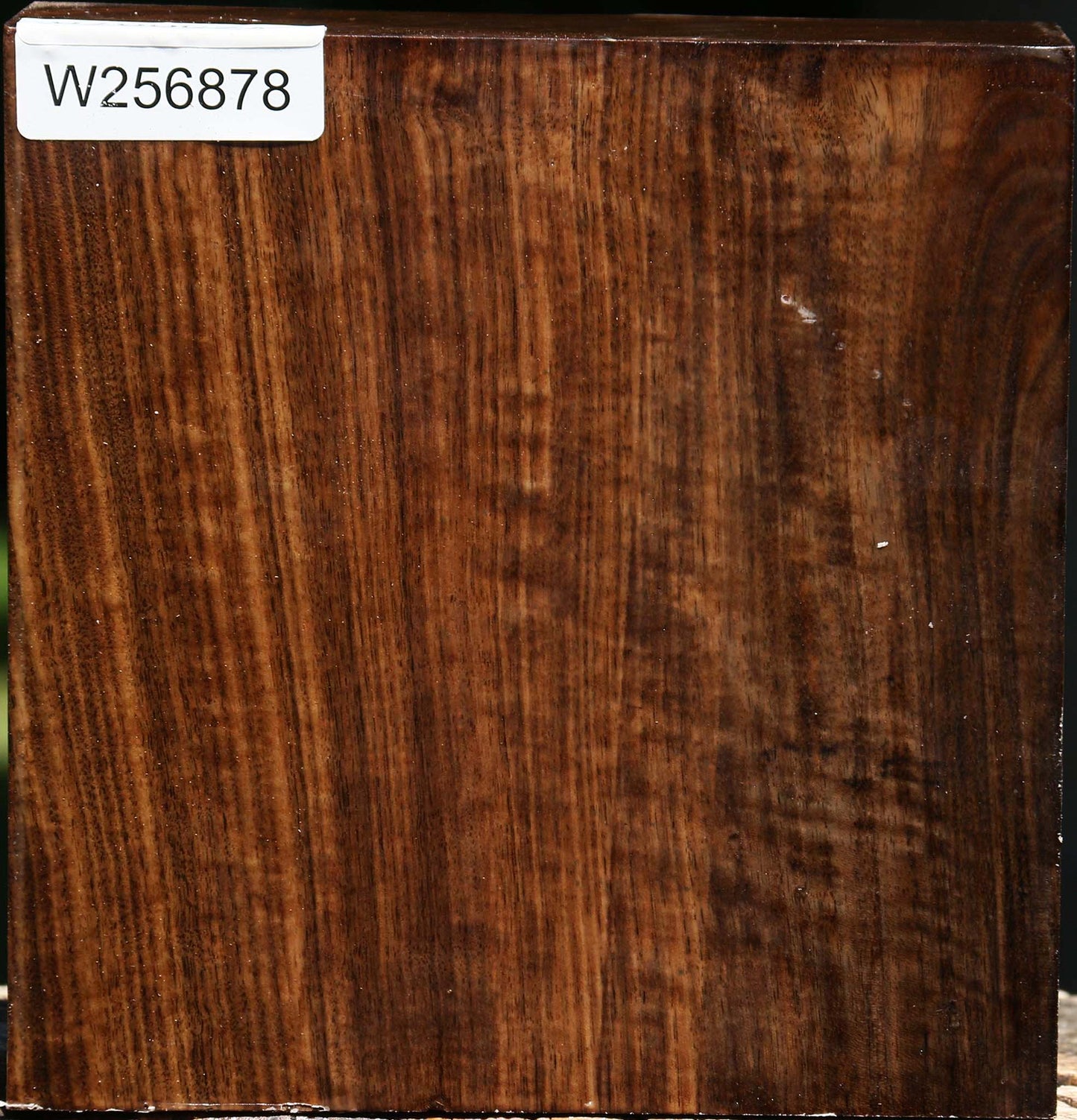 Figured Claro Walnut Bowl Blank
