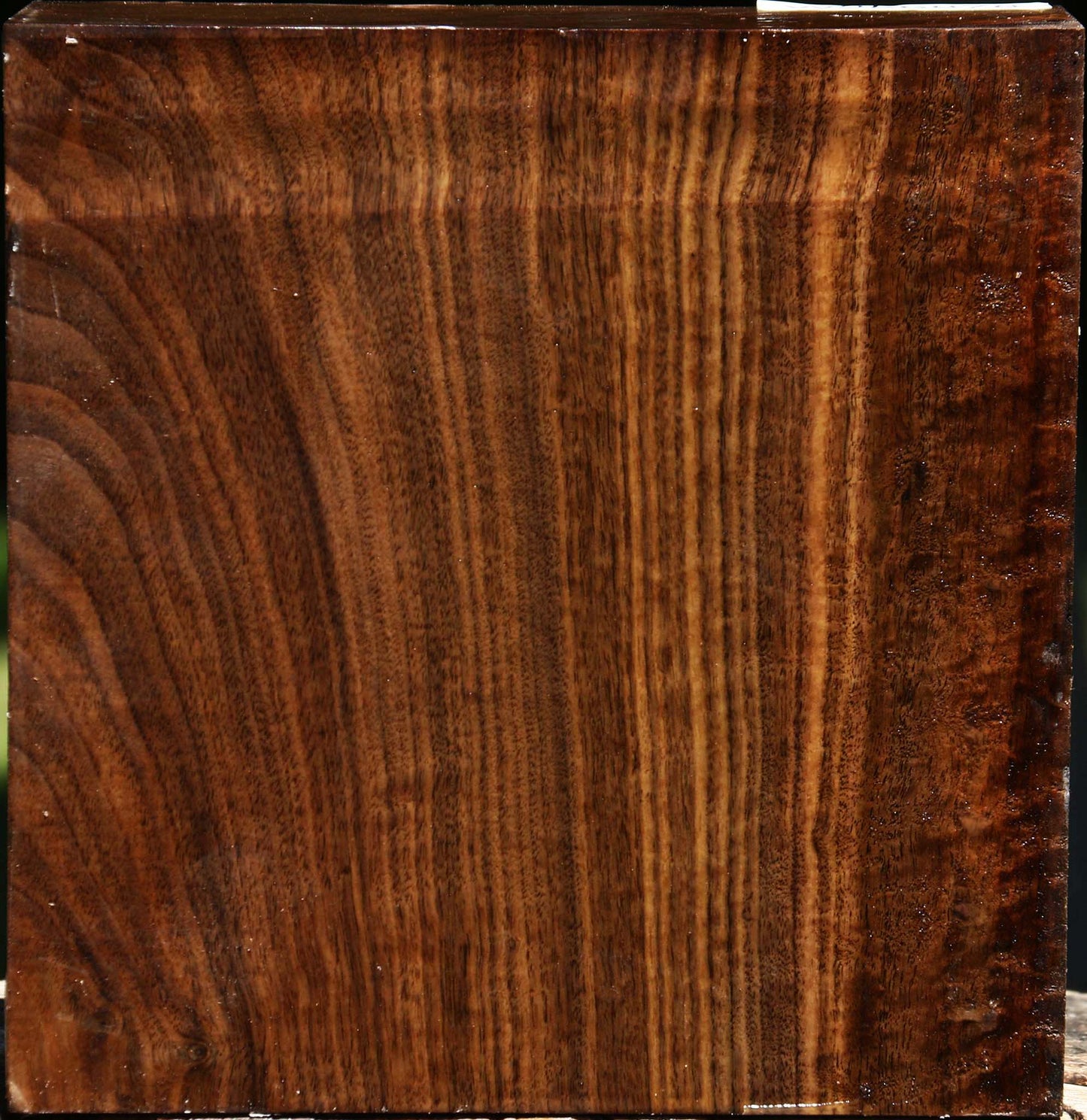 Figured Claro Walnut Bowl Blank