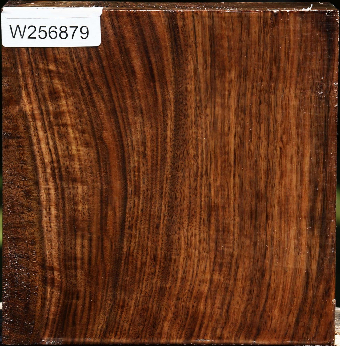 Claro Walnut Bowl Blank