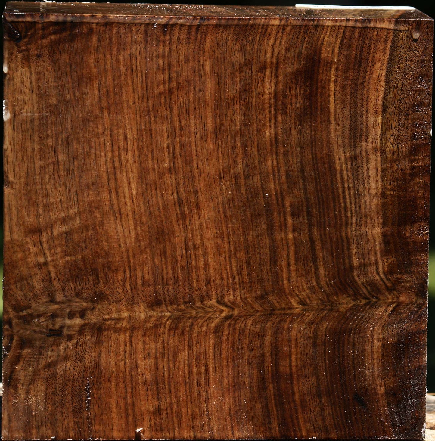 Claro Walnut Bowl Blank