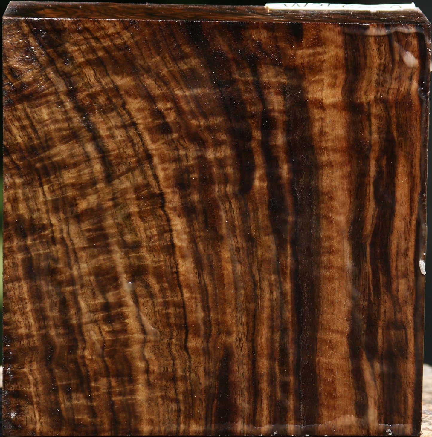 Extra Fancy Claro Walnut Bowl Blank