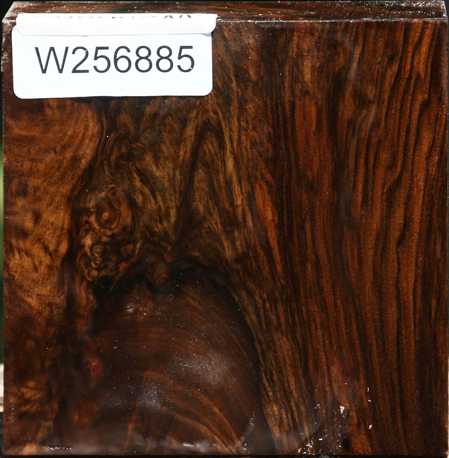 Exhibition English Walnut Bowl Blank