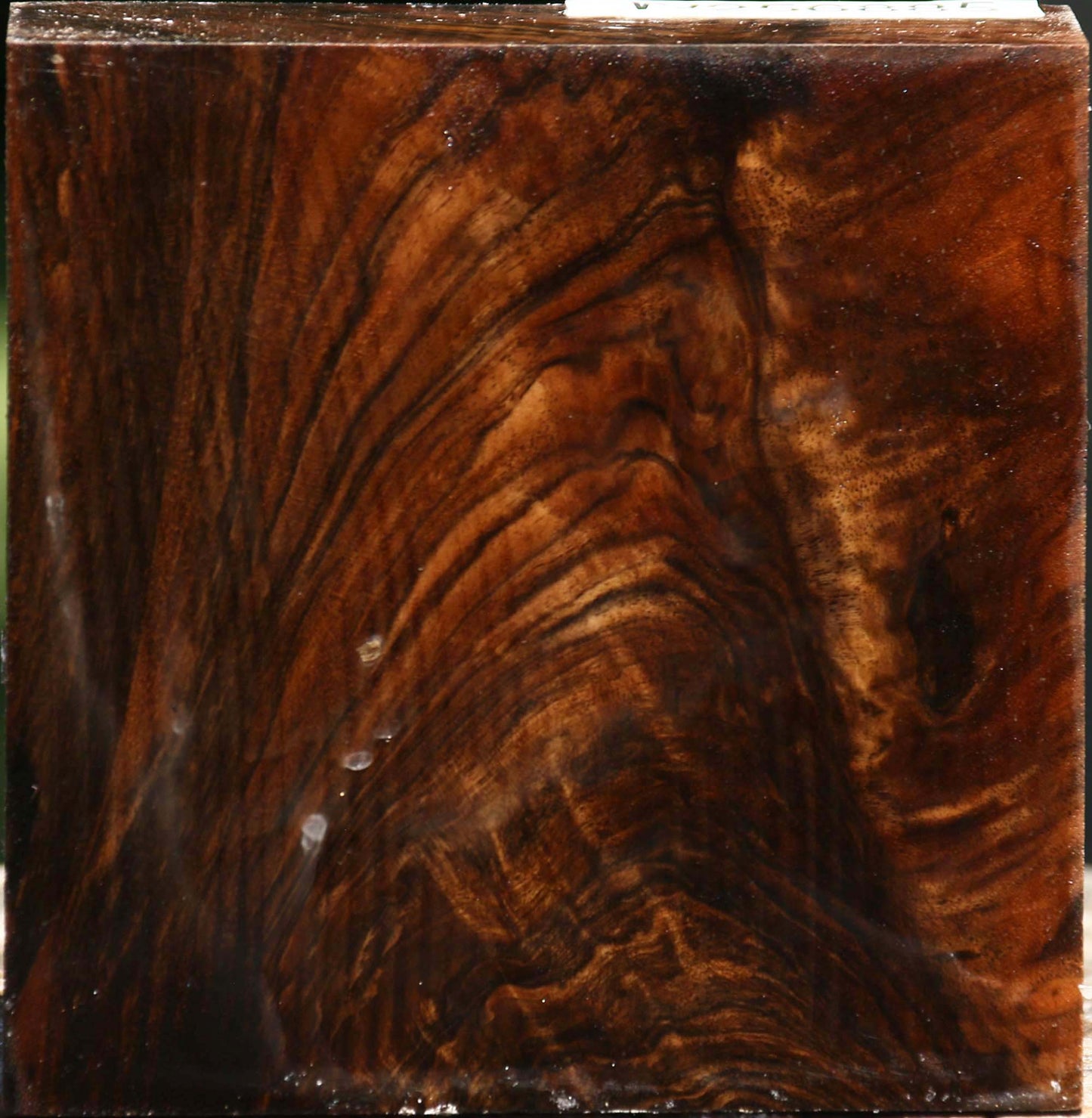Exhibition English Walnut Bowl Blank
