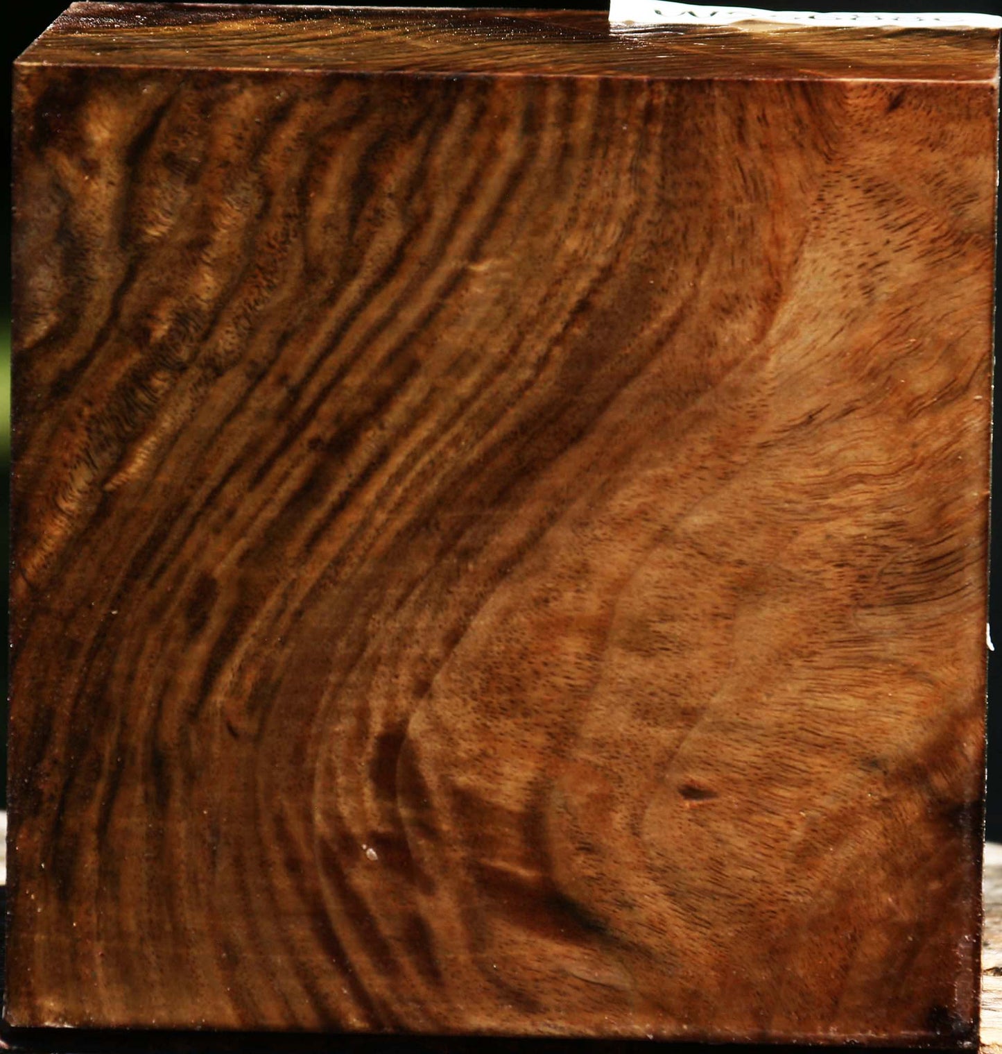Figured Claro Walnut Bowl Blank