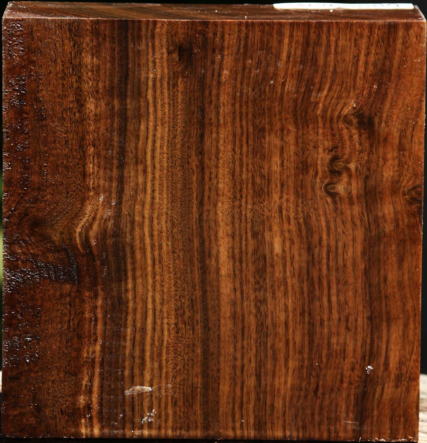Claro Walnut Bowl Blank