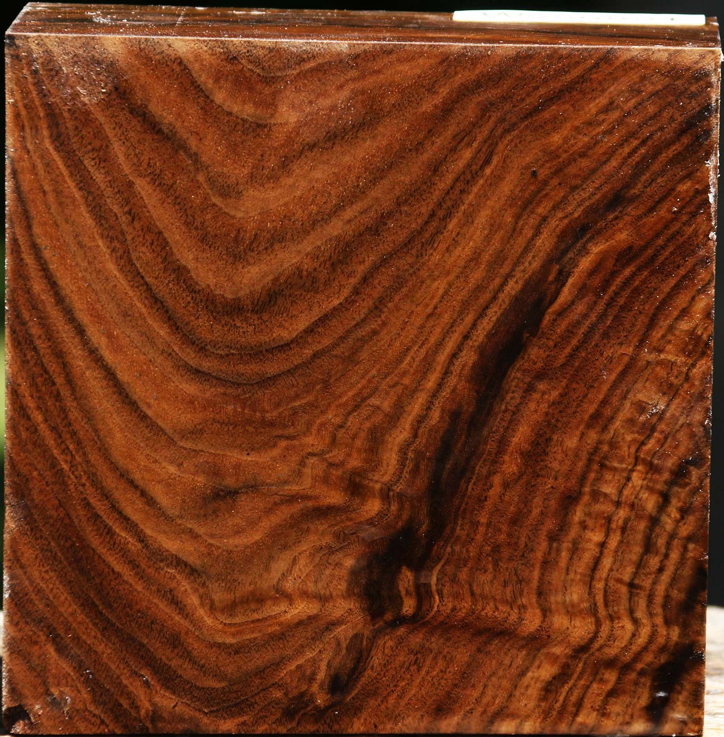 Figured Claro Walnut Bowl Blank