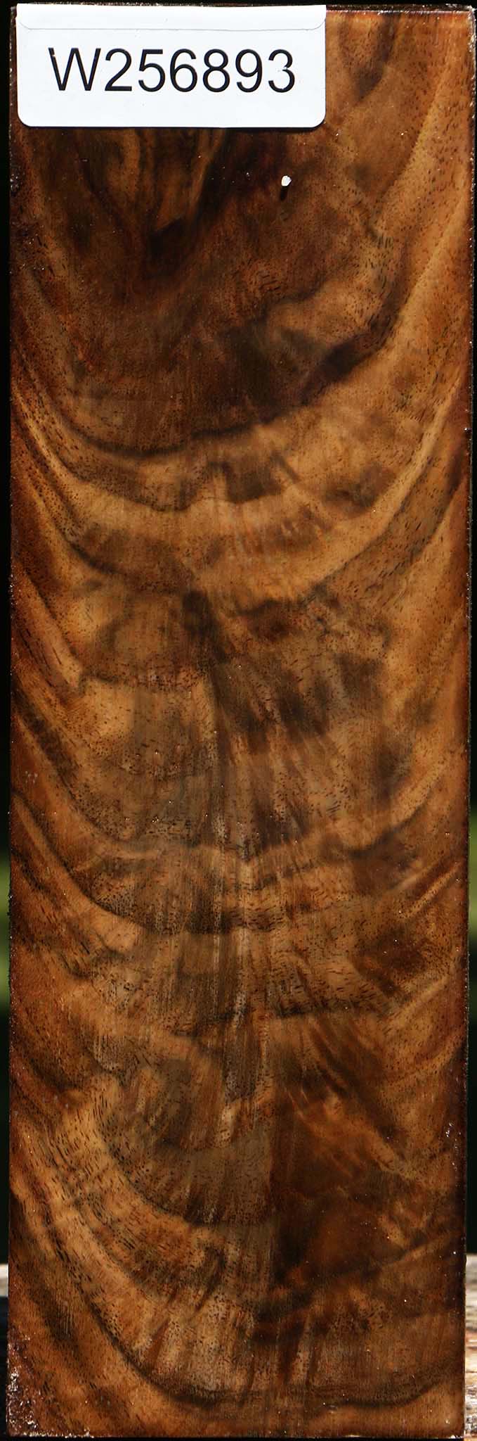 Extra Fancy Crotchwood Claro Walnut Vessel Blank