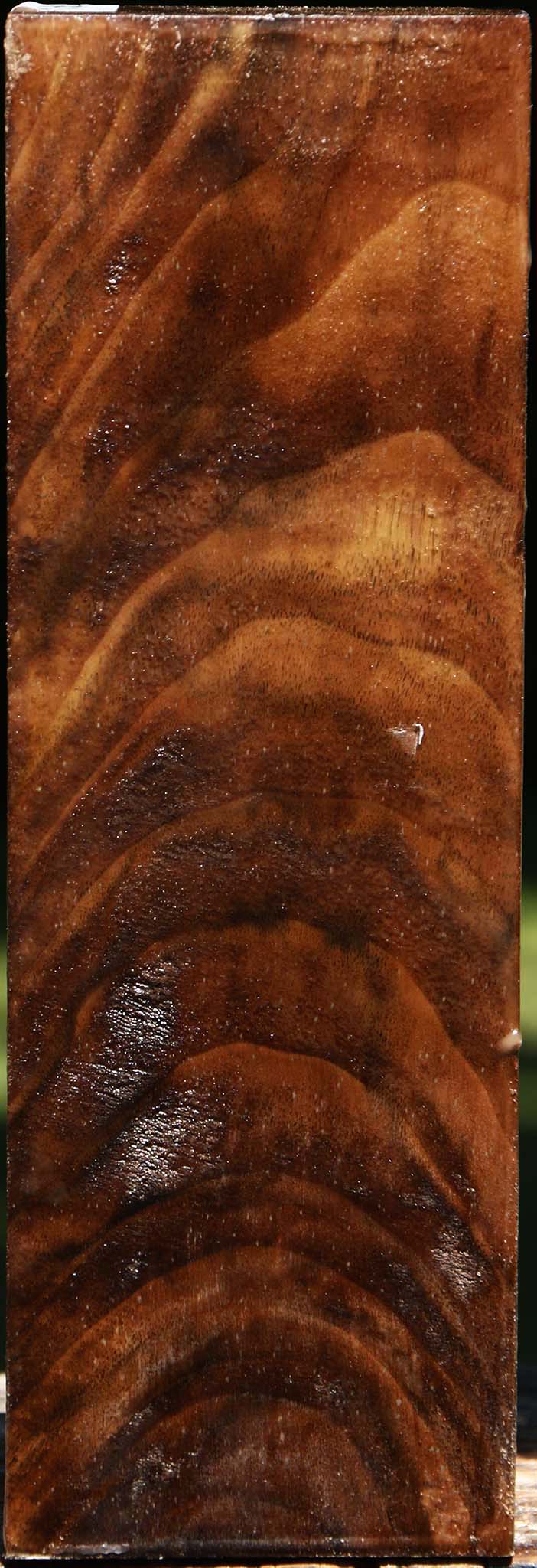 Extra Fancy Crotchwood Claro Walnut Vessel Blank