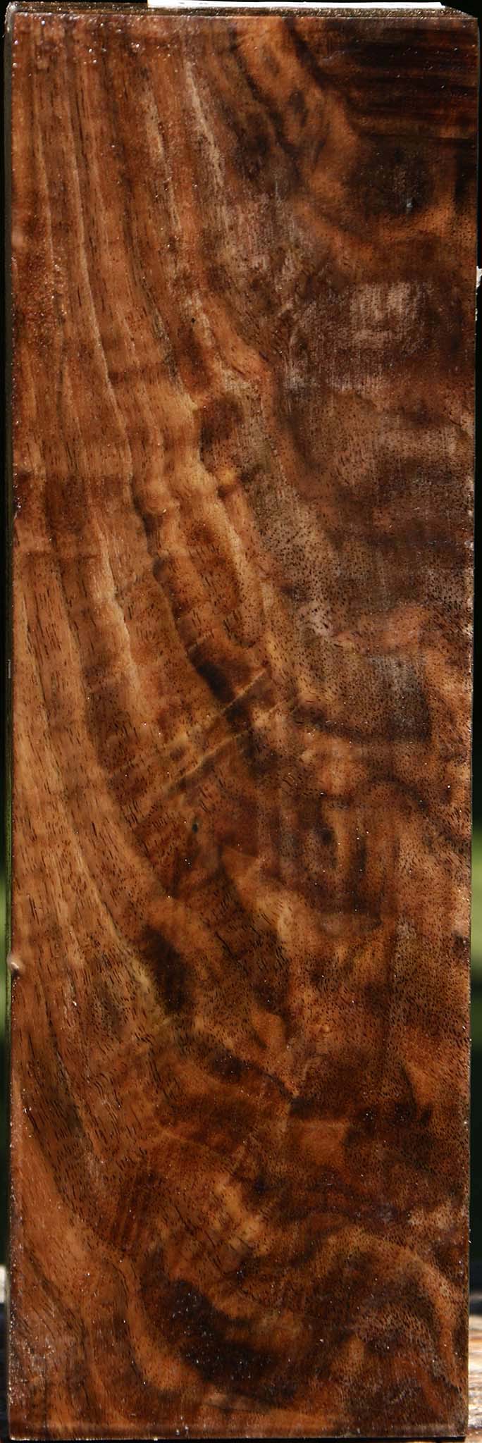 Extra Fancy Crotchwood Claro Walnut Vessel Blank