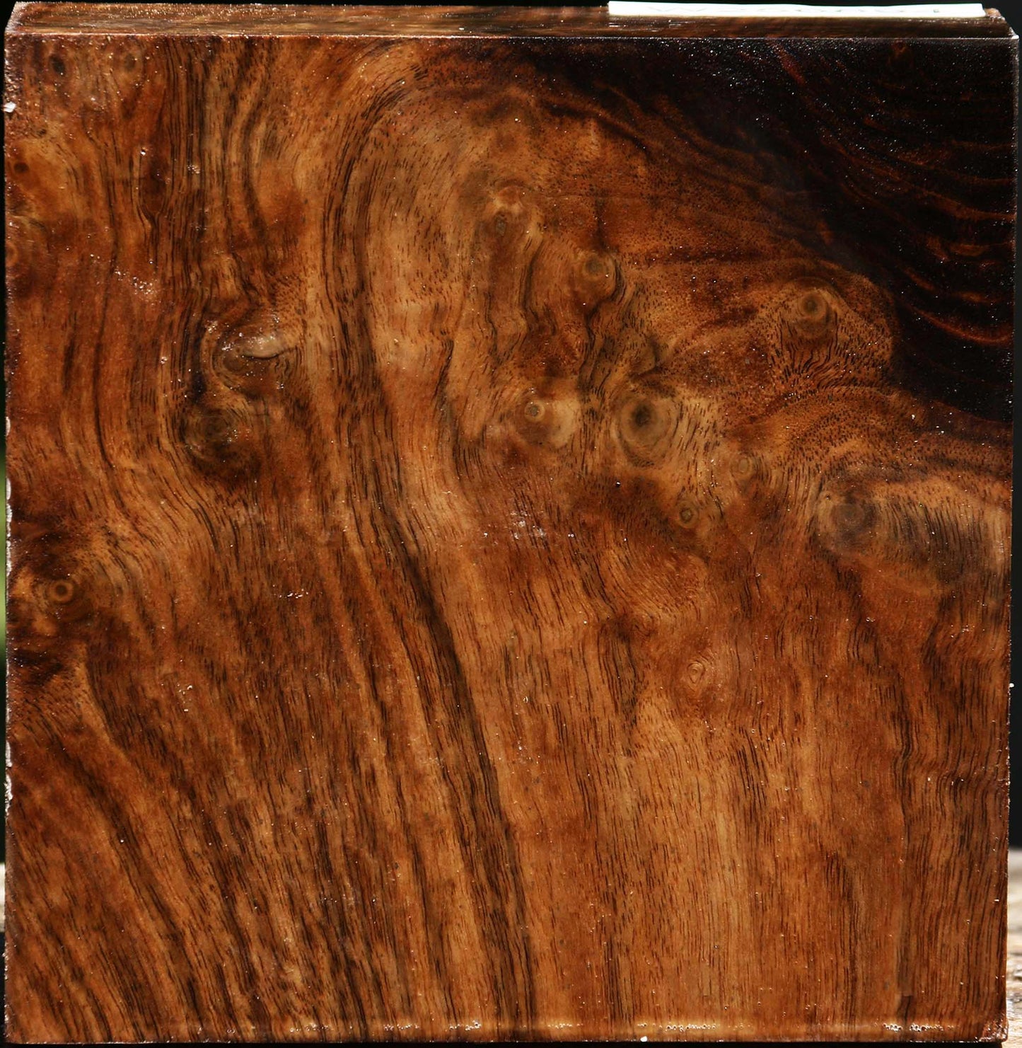 Figured Claro Walnut Bowl Blank