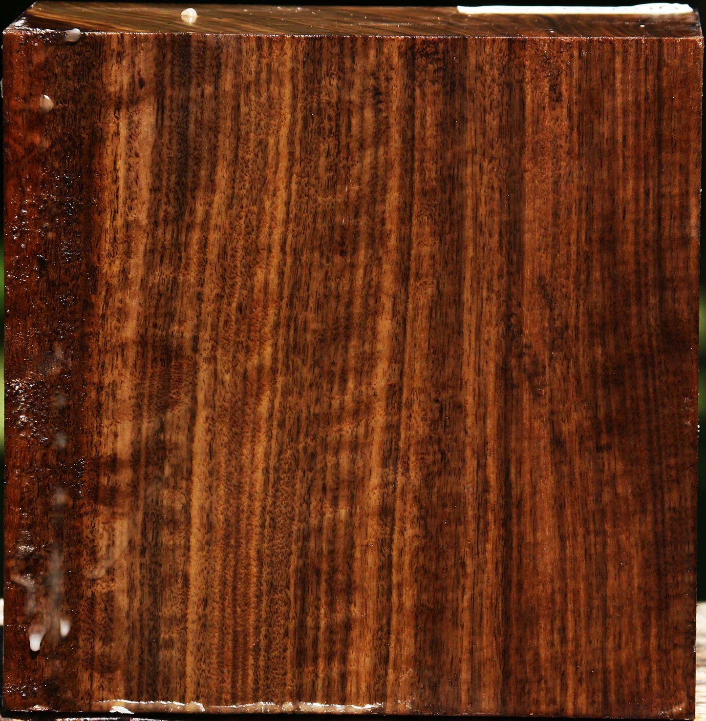 Claro Walnut Bowl Blank