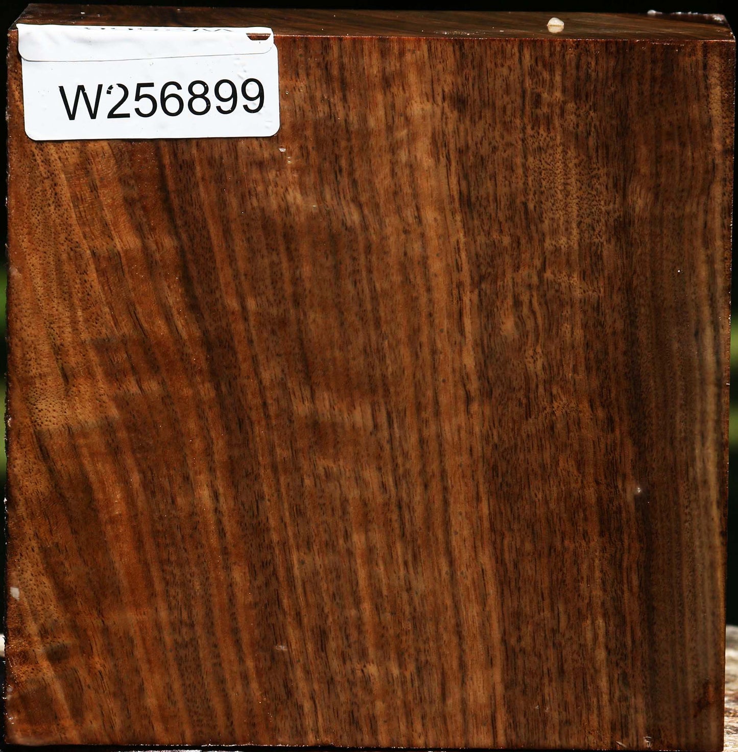Claro Walnut Bowl Blank