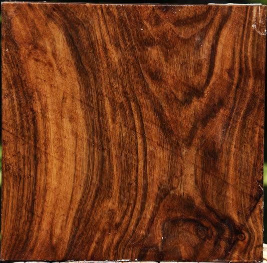 Claro Walnut Platter Blank