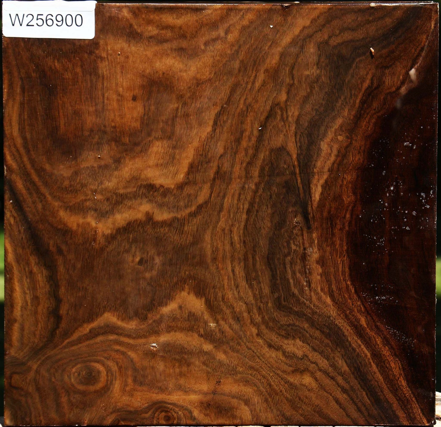 Claro Walnut Platter Blank