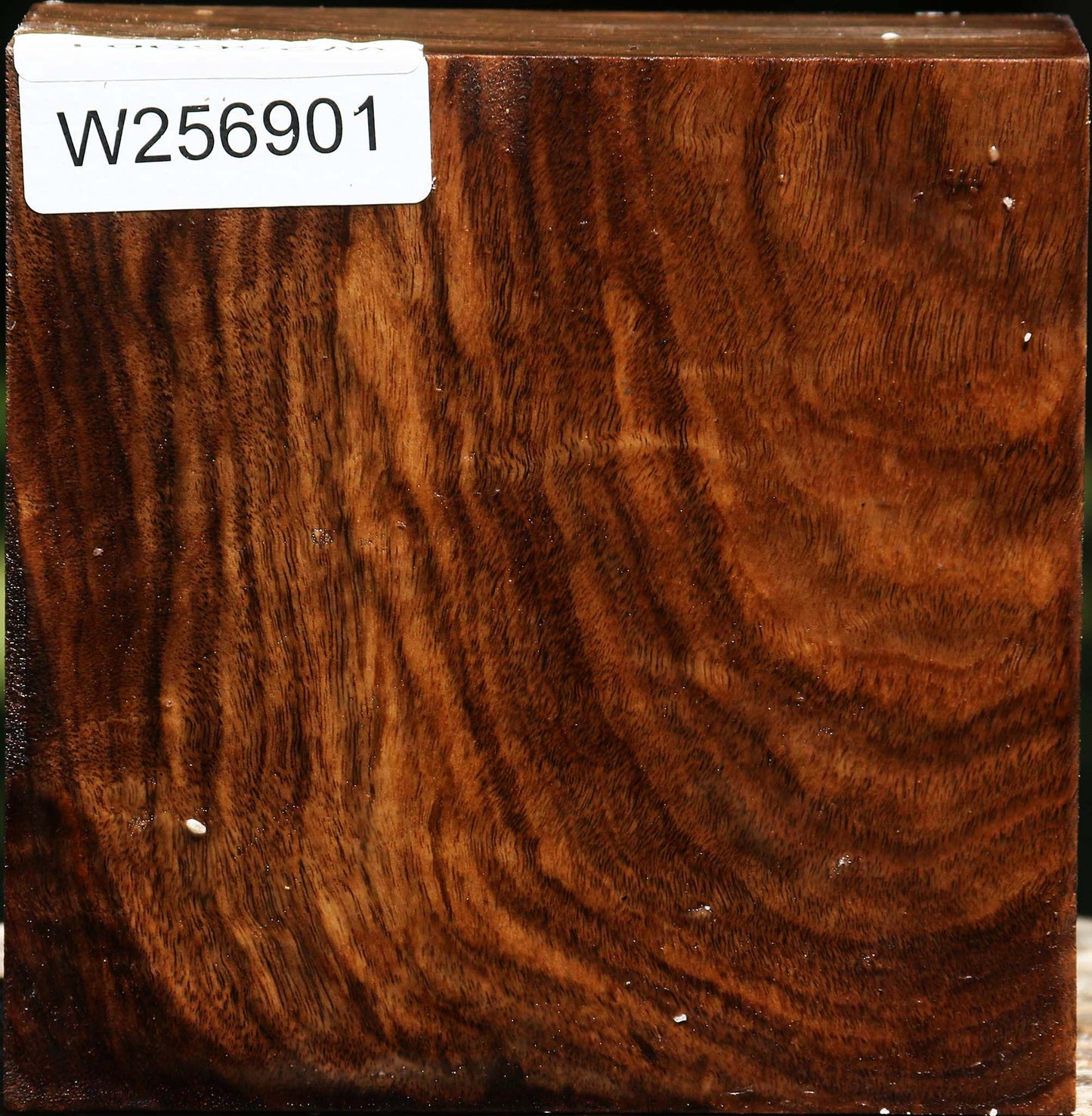 Claro Walnut Bowl Blank