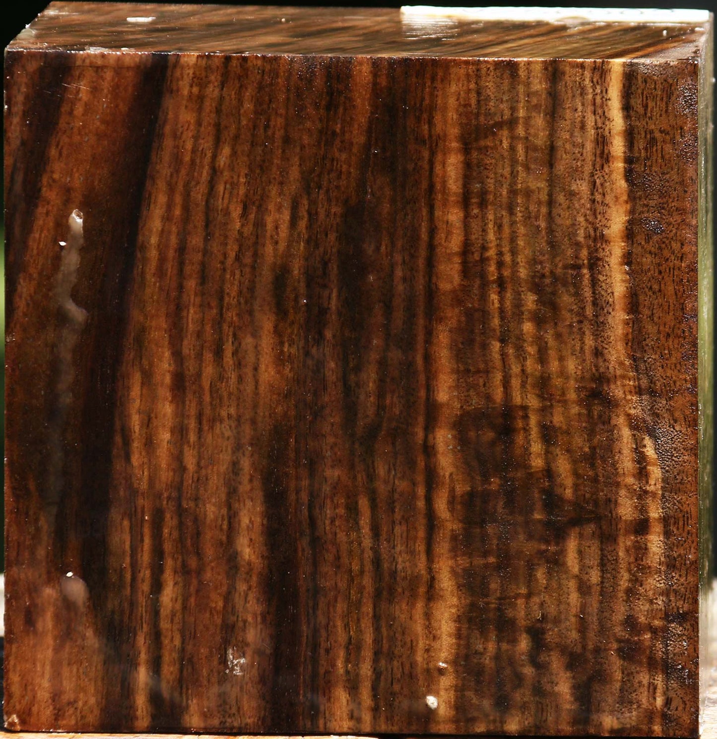 Extra Fancy Claro Walnut Bowl Blank