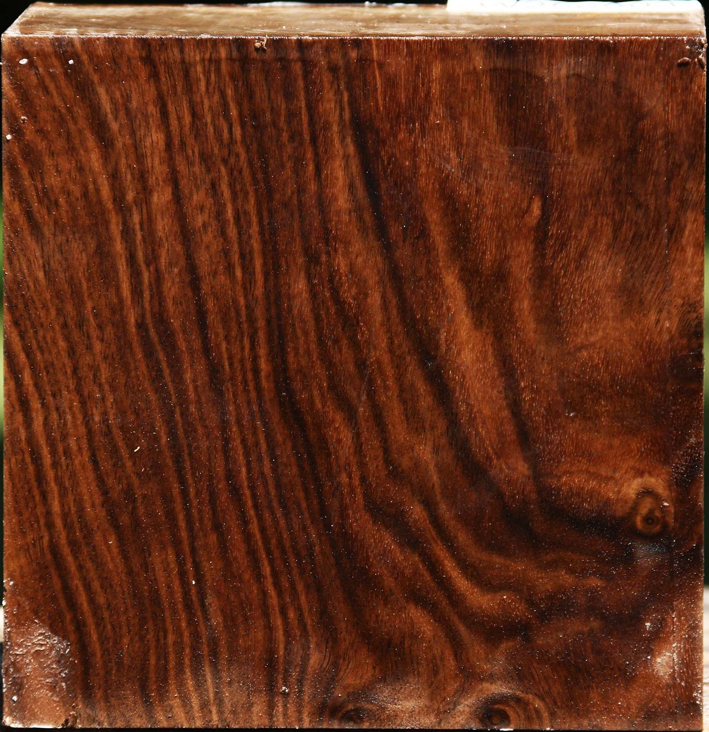 Claro Walnut Bowl Blank