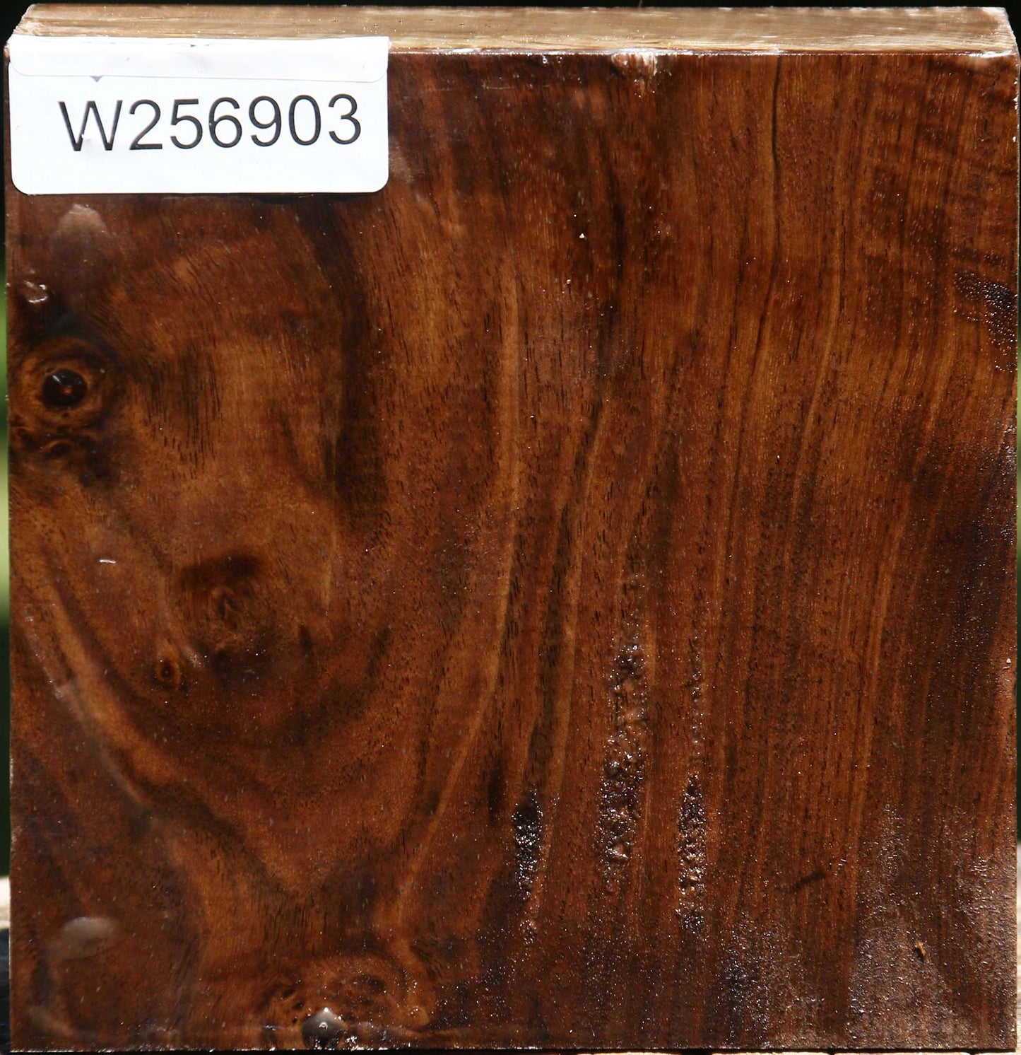Claro Walnut Bowl Blank