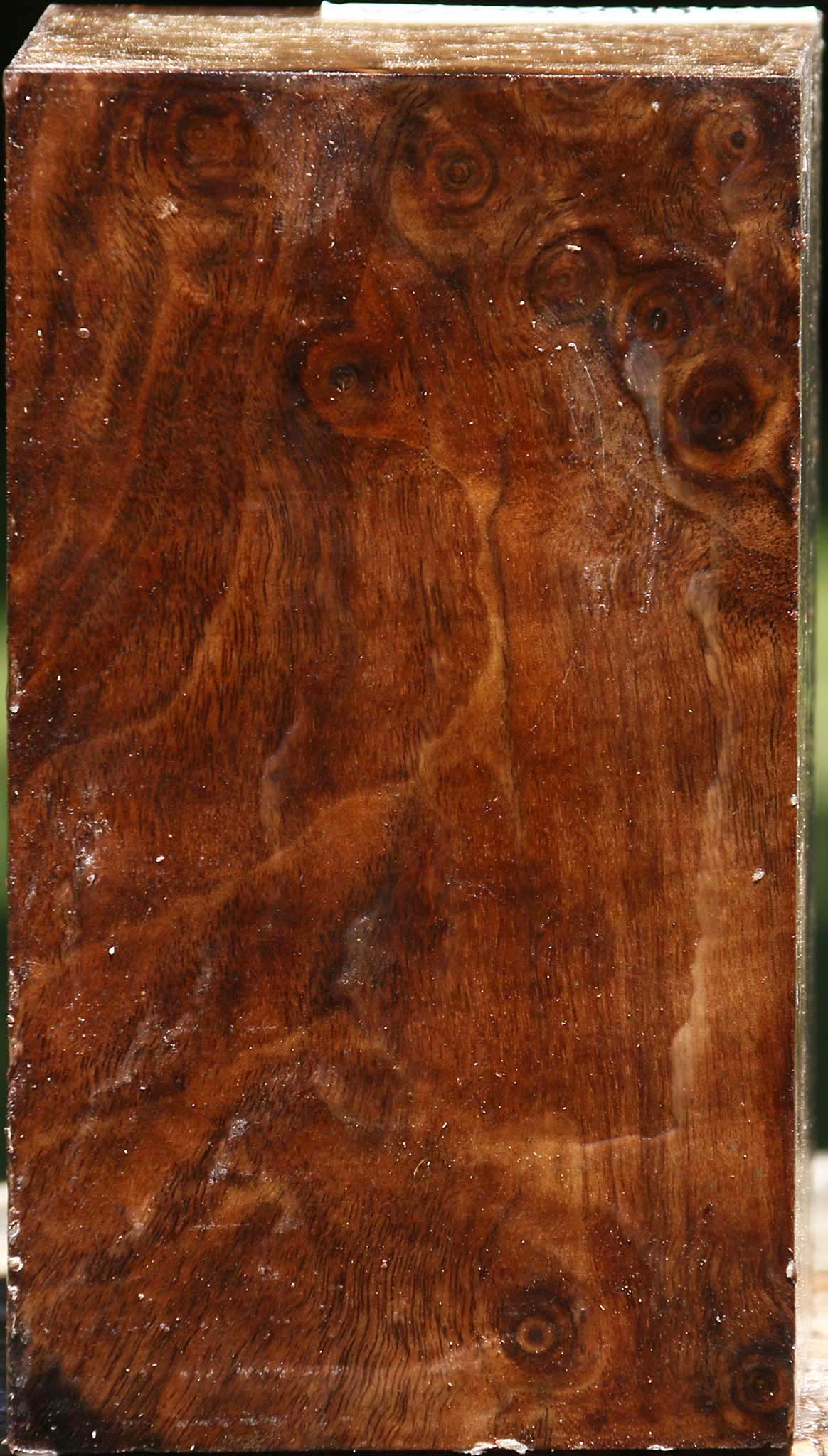 Claro Walnut Turning Blank