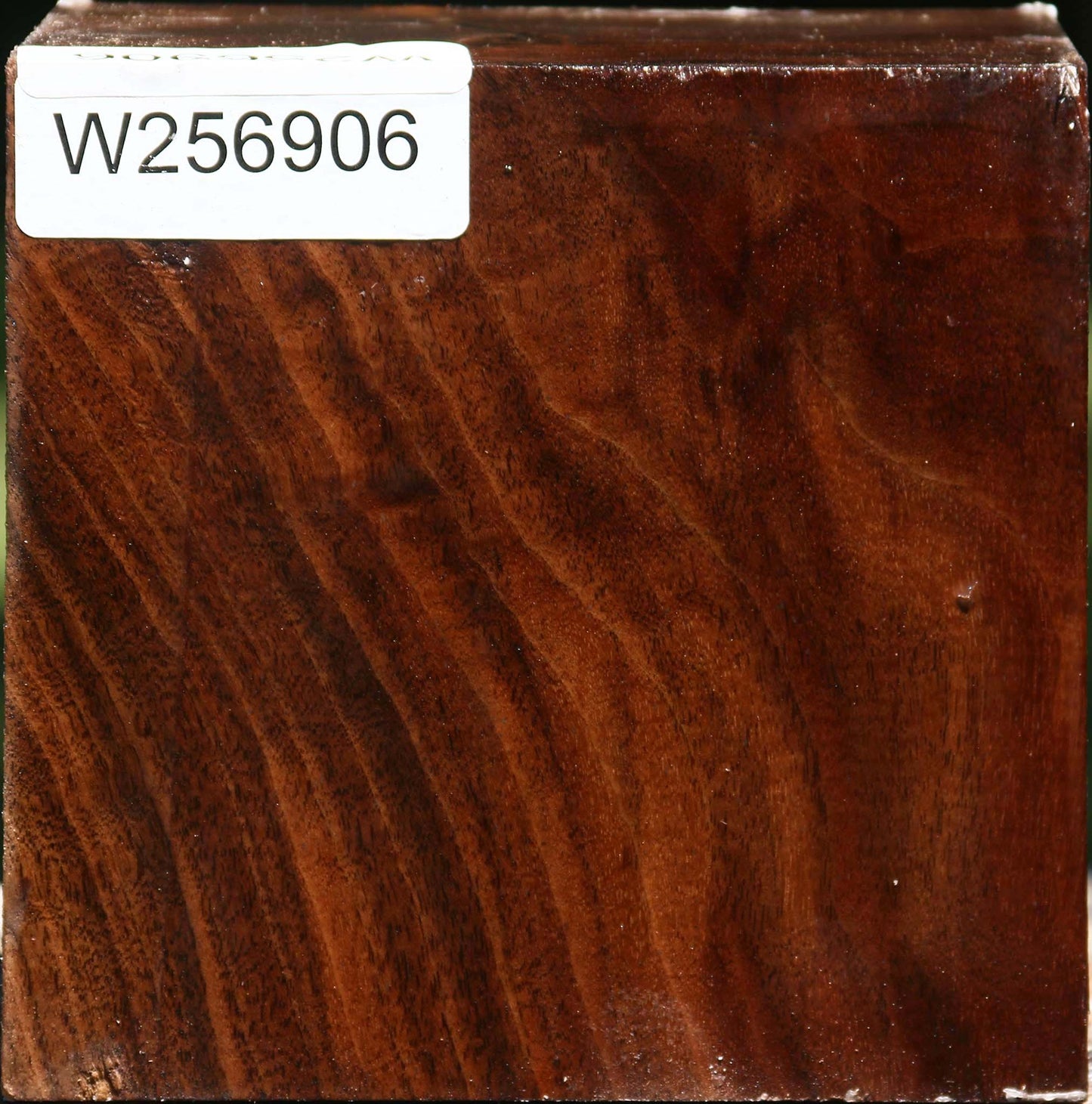 Figured Claro Walnut Bowl Blank
