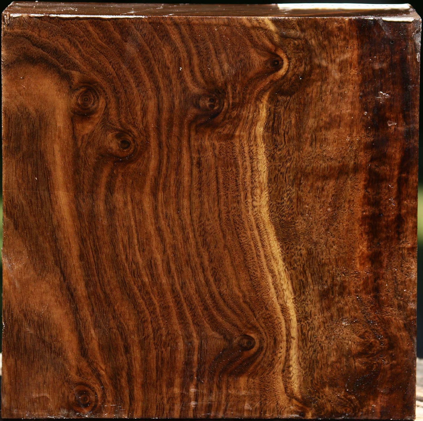 Claro Walnut Bowl Blank