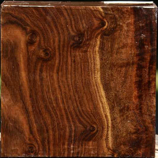 Claro Walnut Bowl Blank