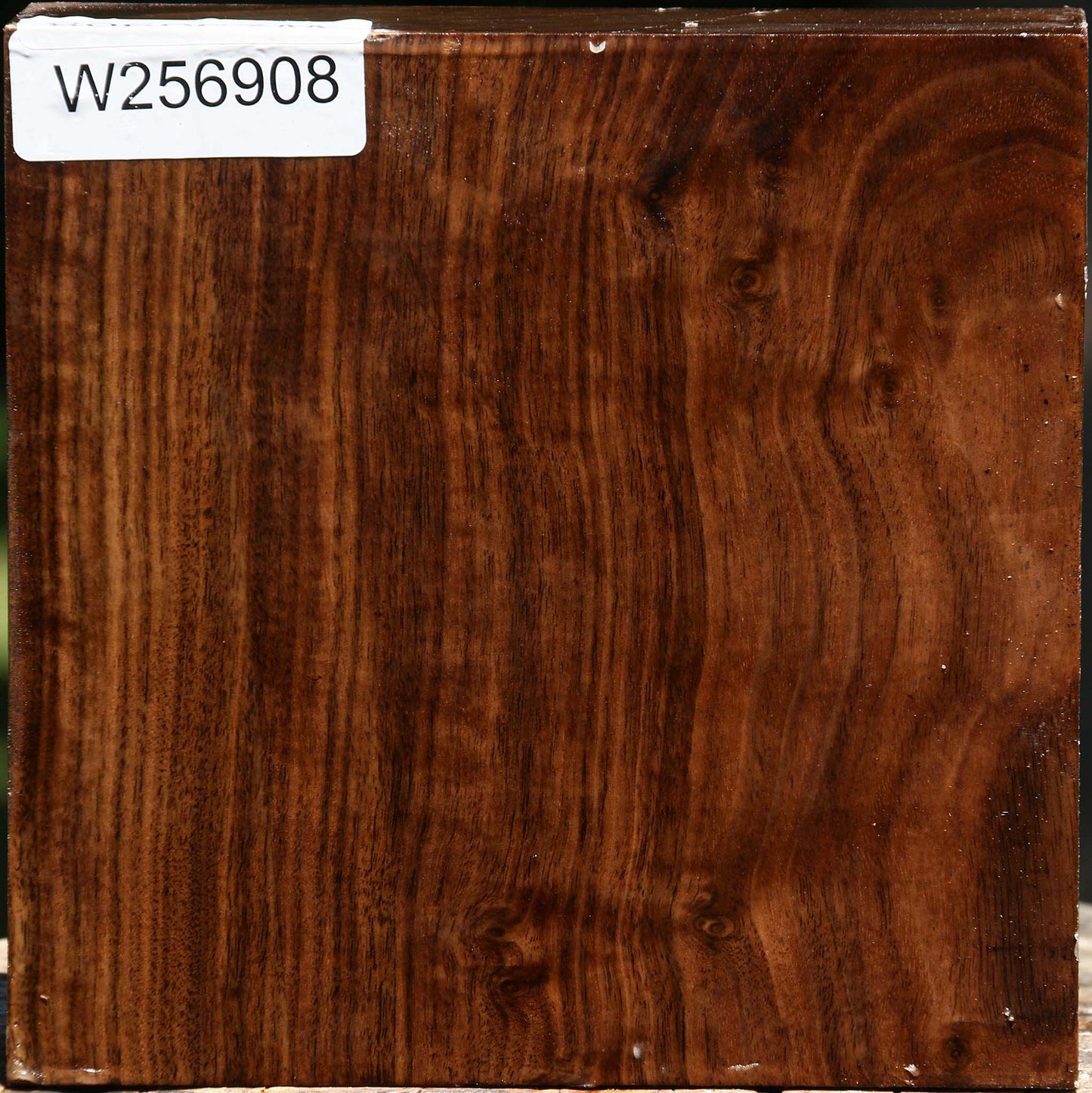 Claro Walnut Bowl Blank