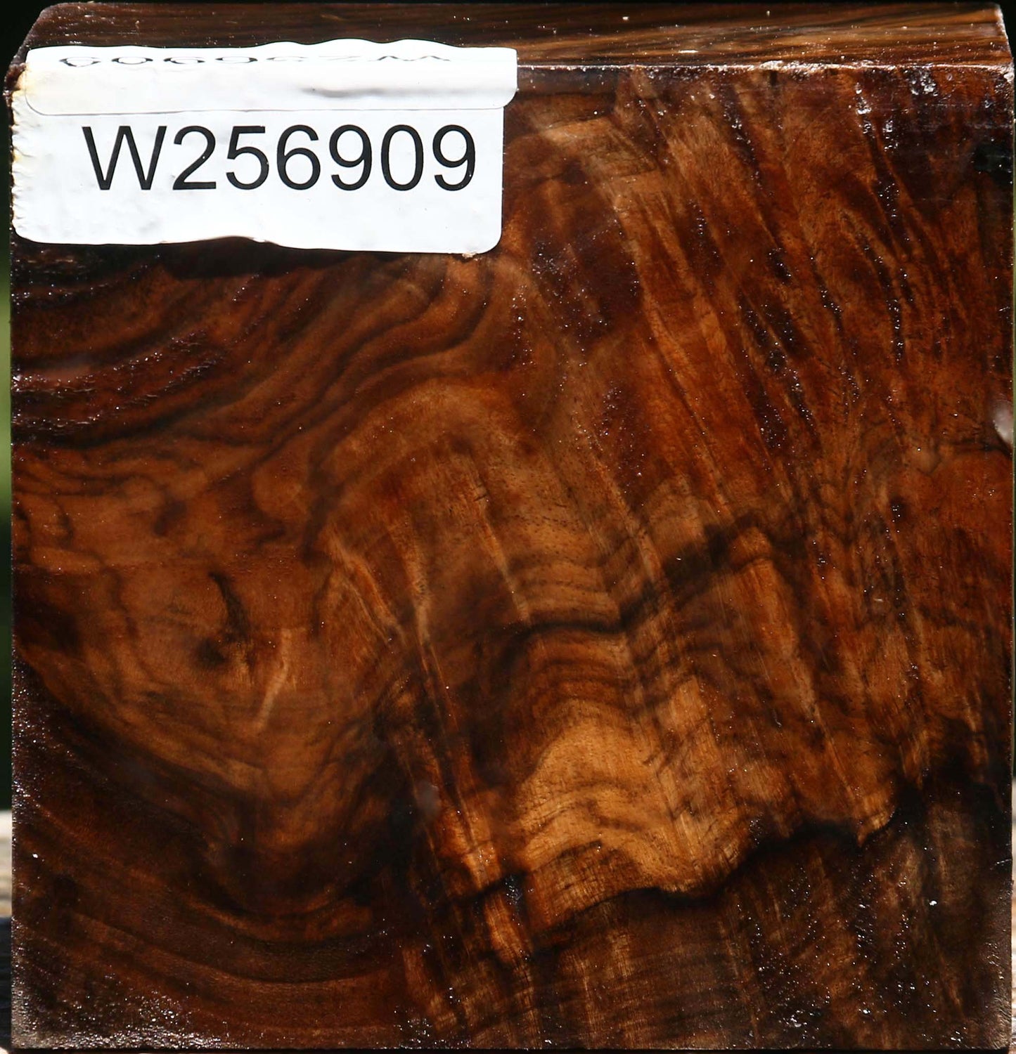 Figured Claro Walnut Bowl Blank