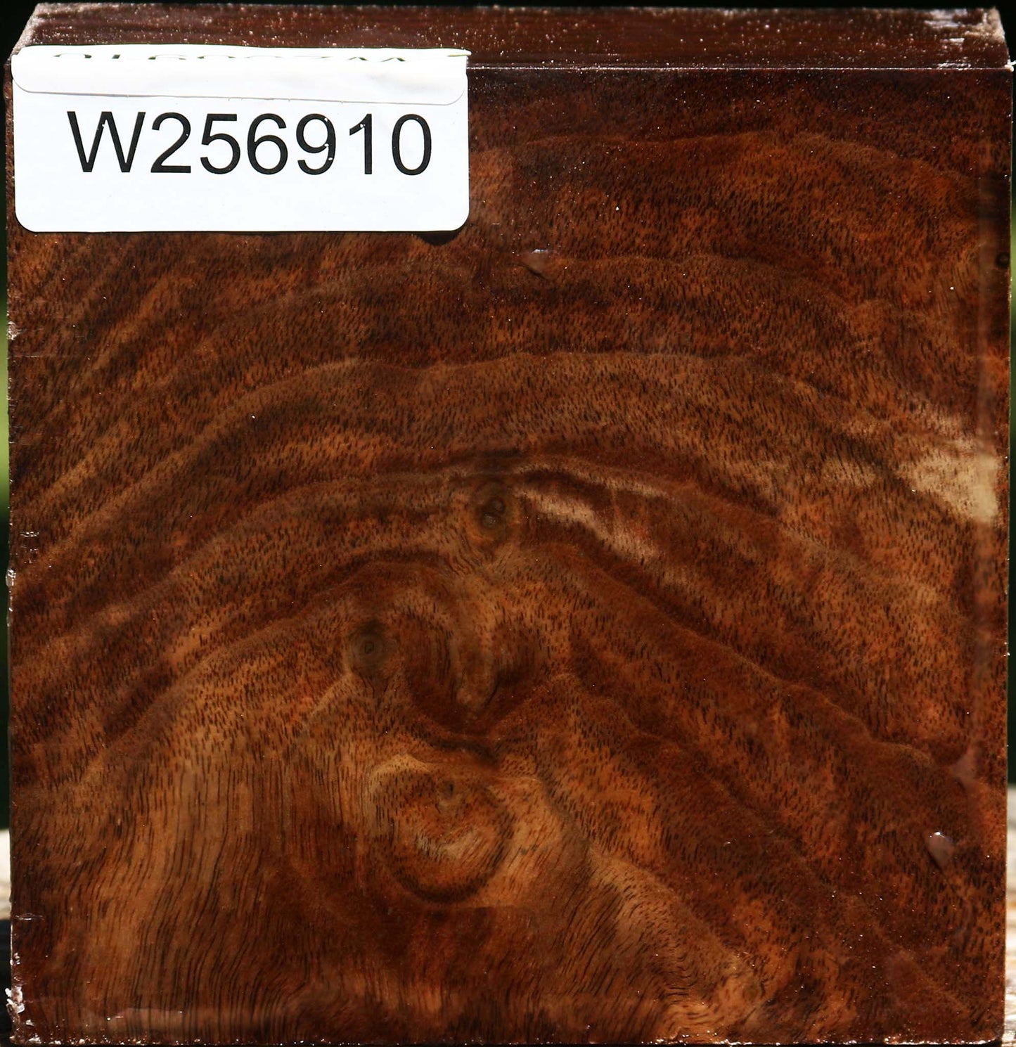 Claro Walnut Bowl Blank