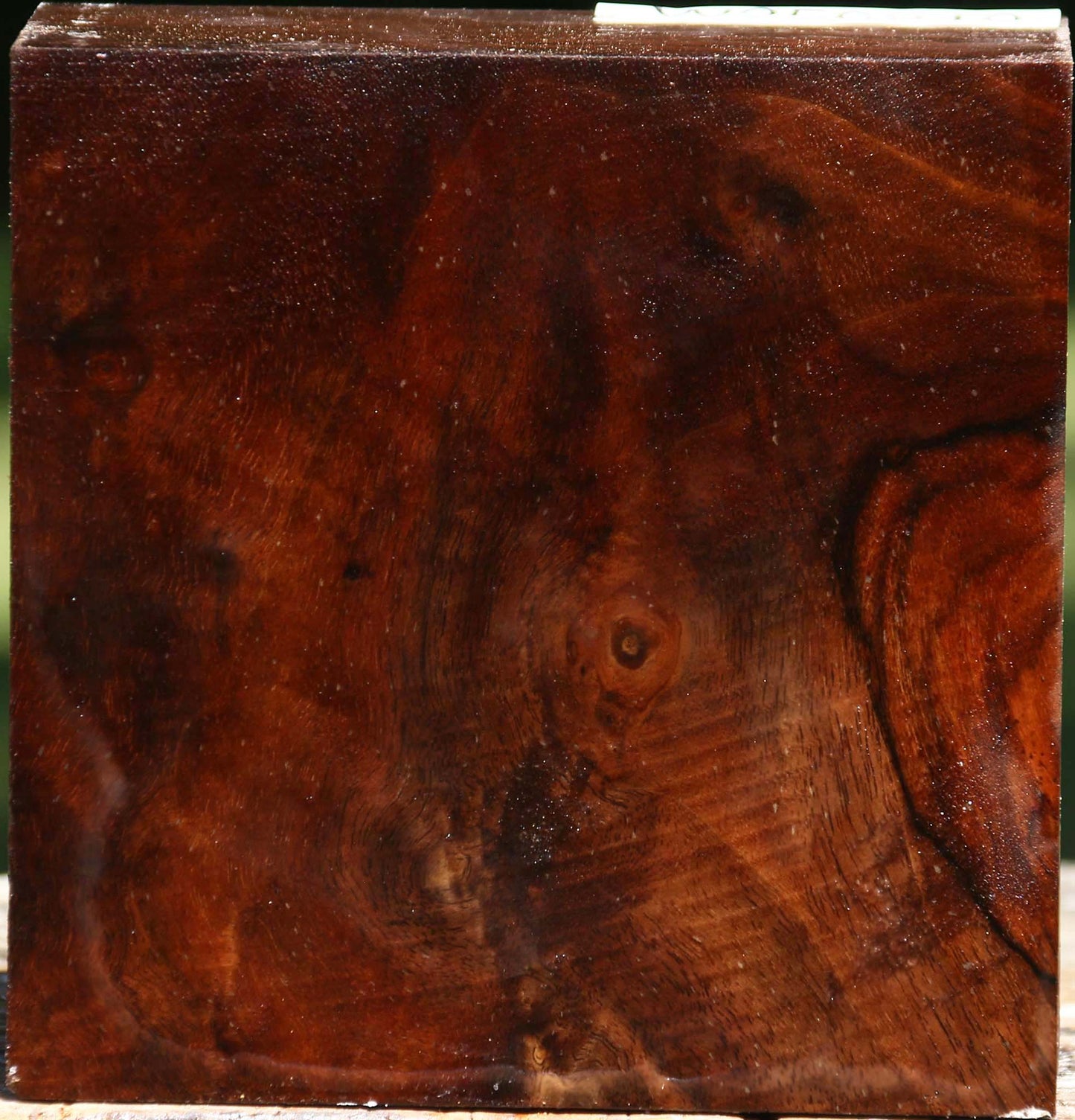 Claro Walnut Bowl Blank