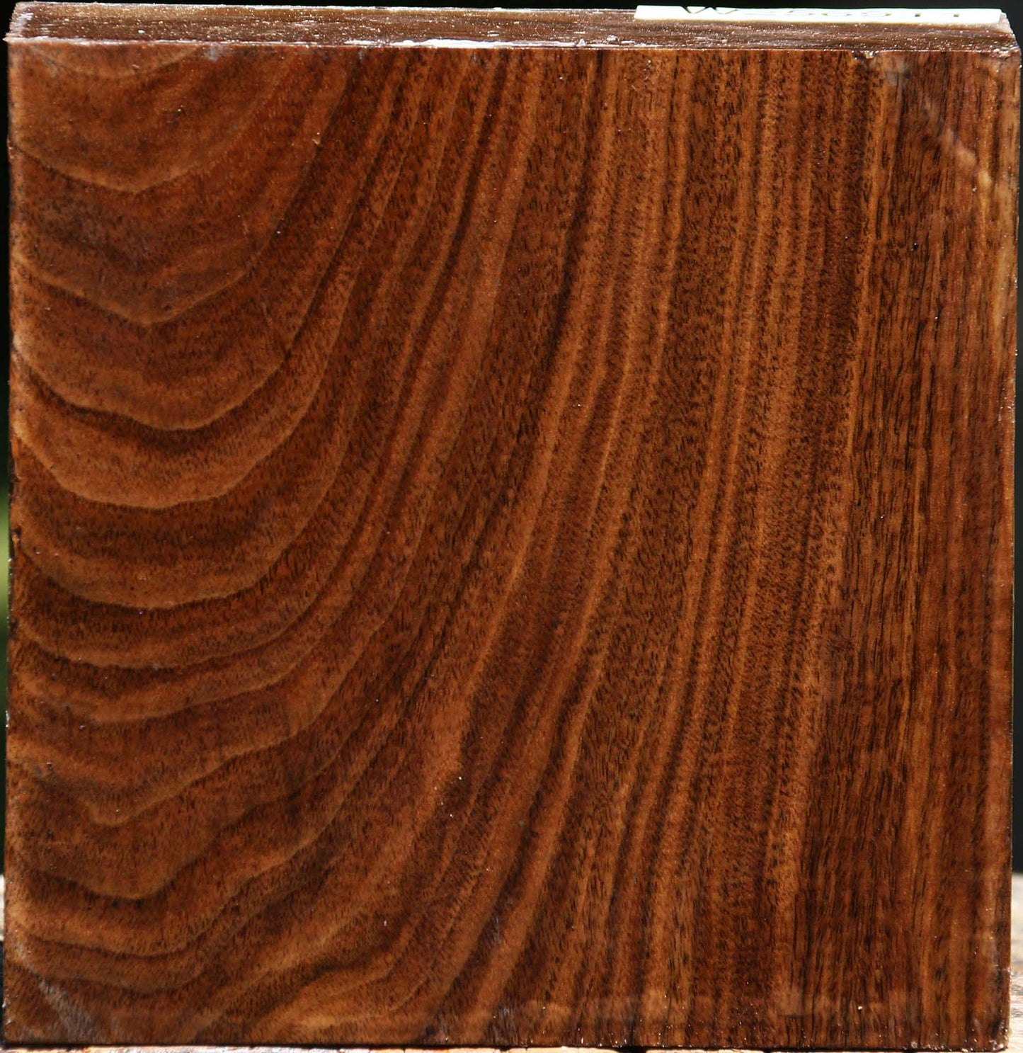 Claro Walnut Bowl Blank