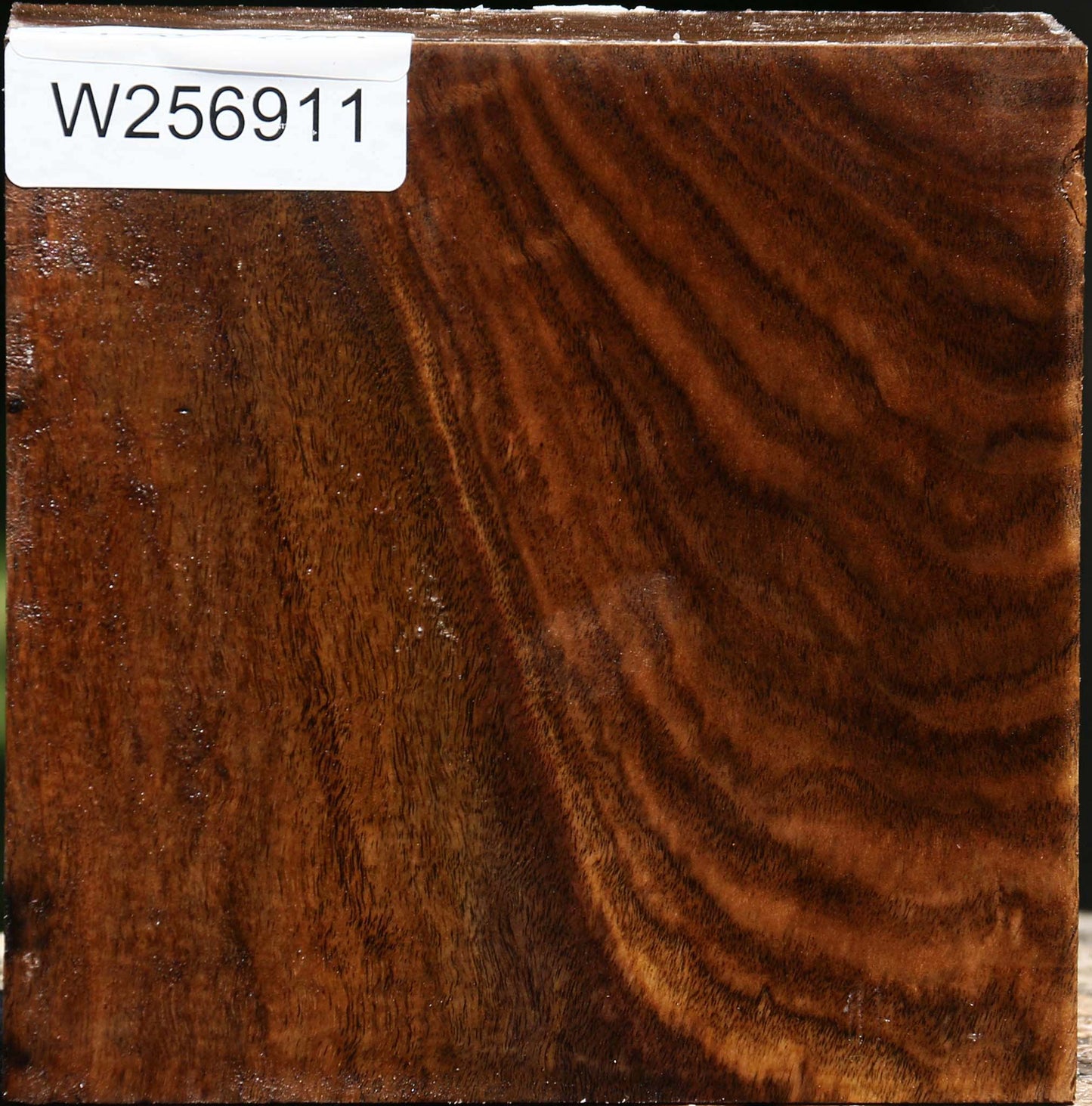 Claro Walnut Bowl Blank