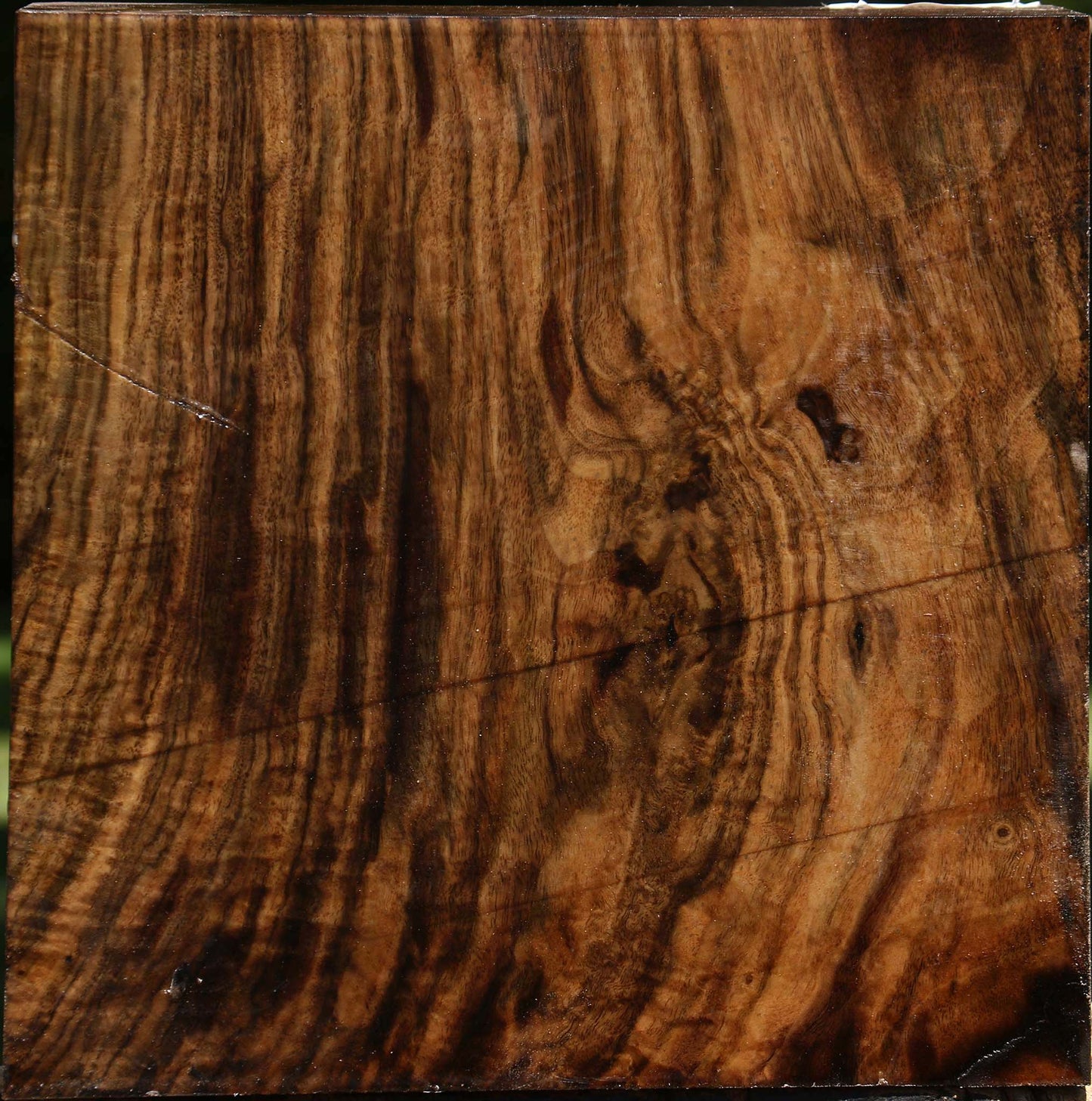 Figured Claro Walnut Bowl Blank