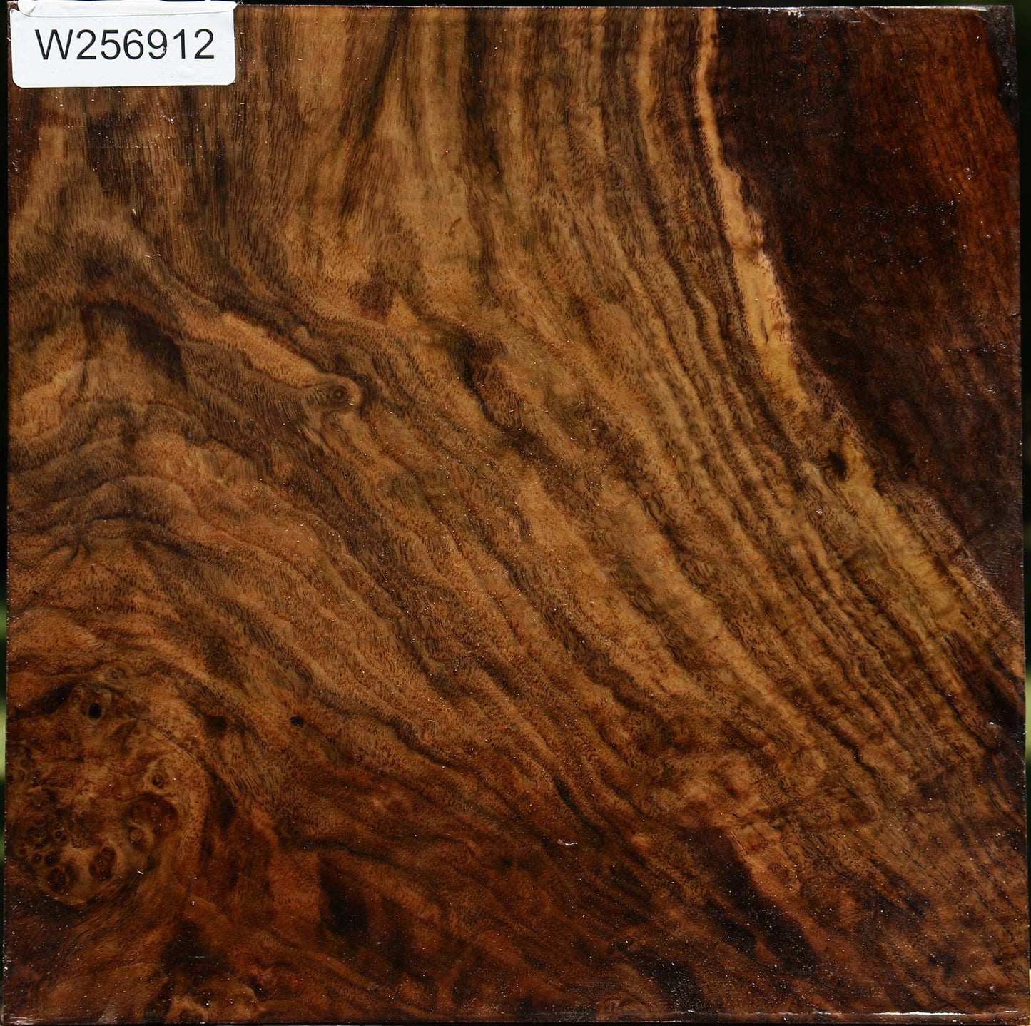Figured Claro Walnut Bowl Blank