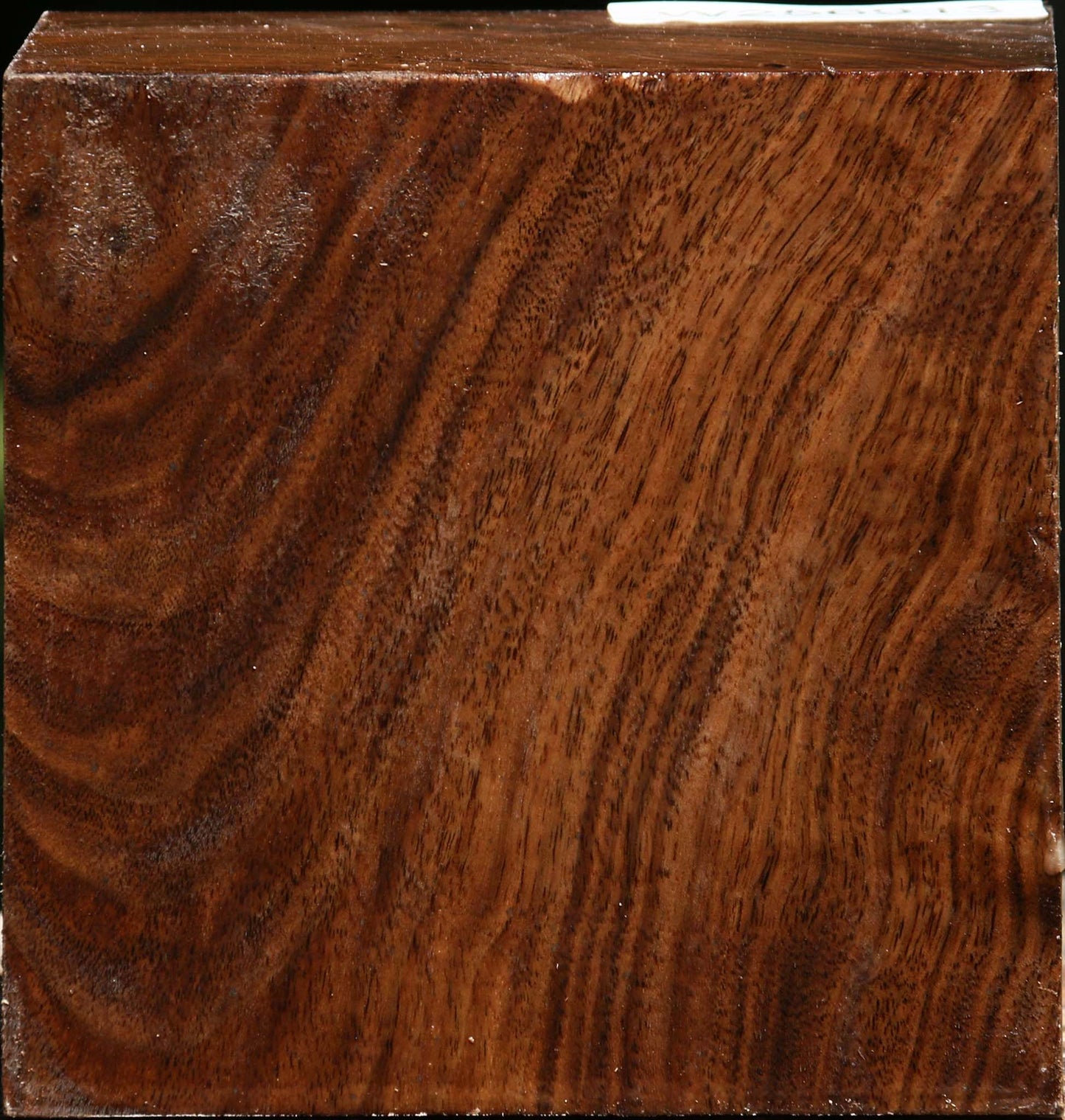 Figured Claro Walnut Bowl Blank