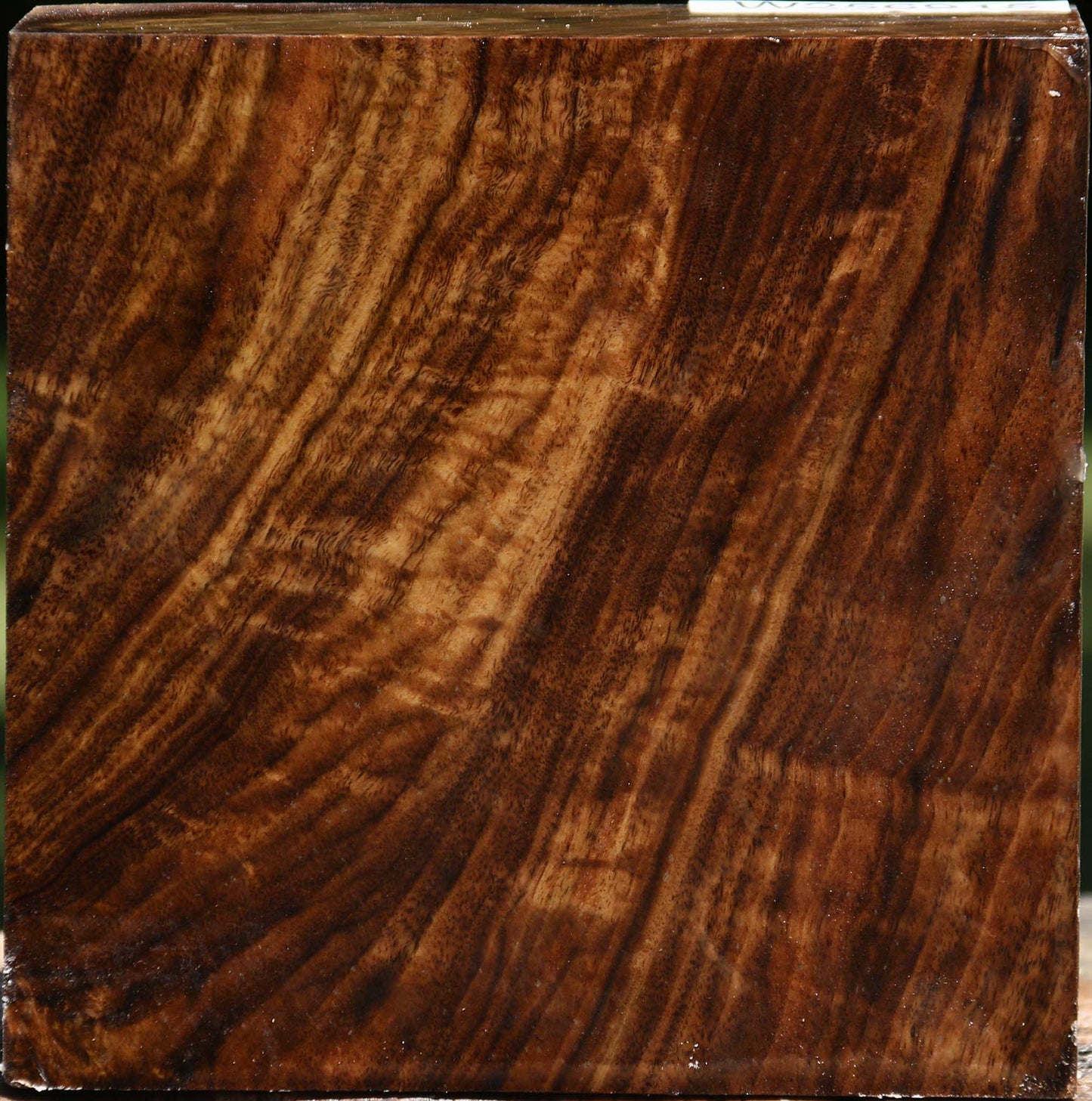 Figured Claro Walnut Bowl Blank