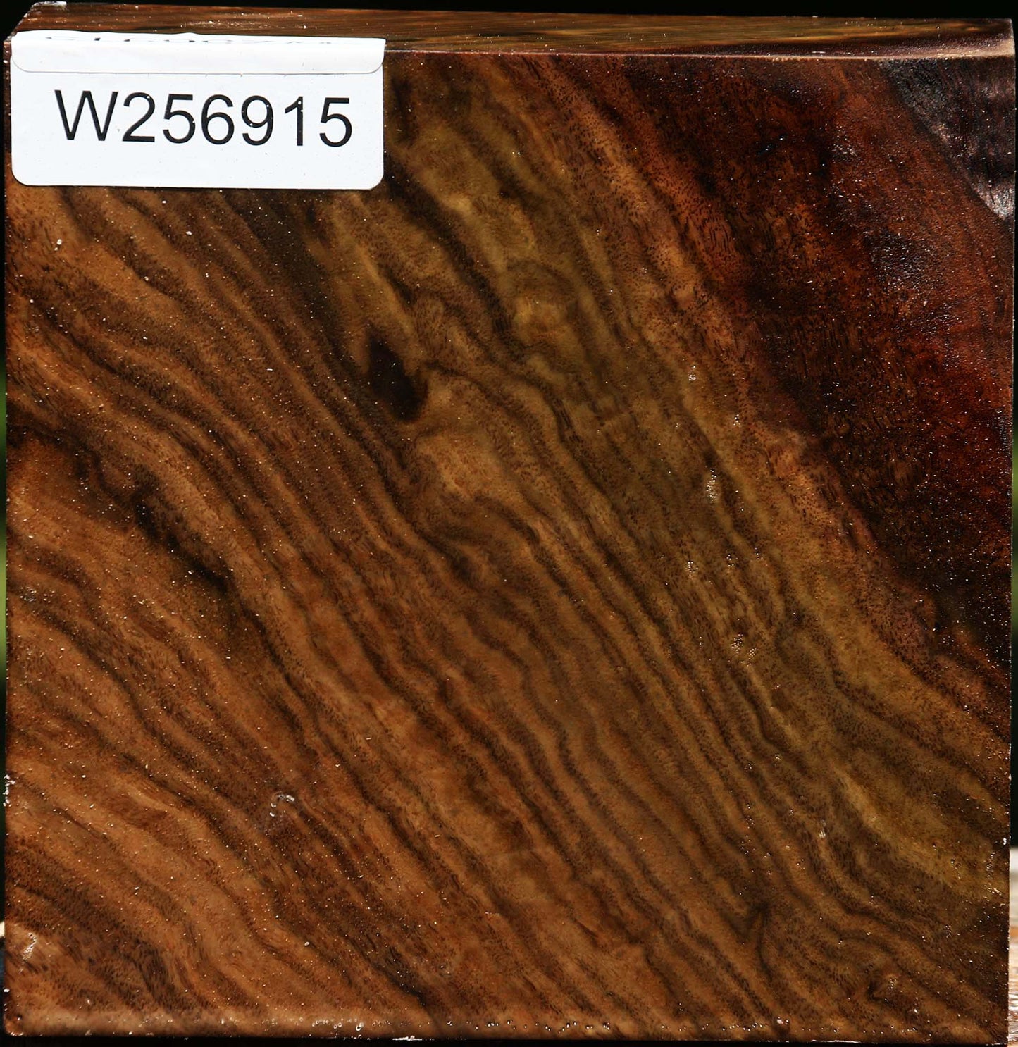 Figured Claro Walnut Bowl Blank