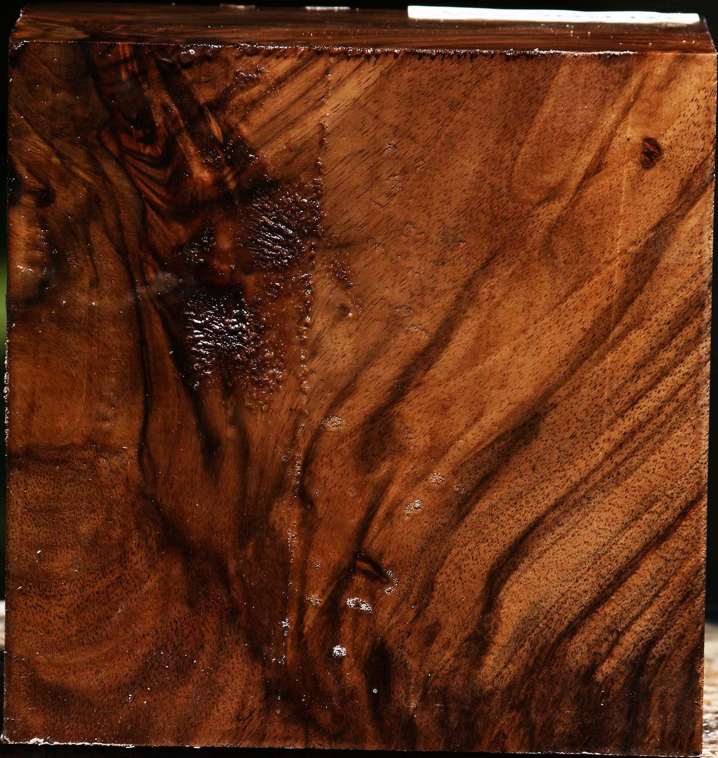 Figured English Walnut Bowl Blank