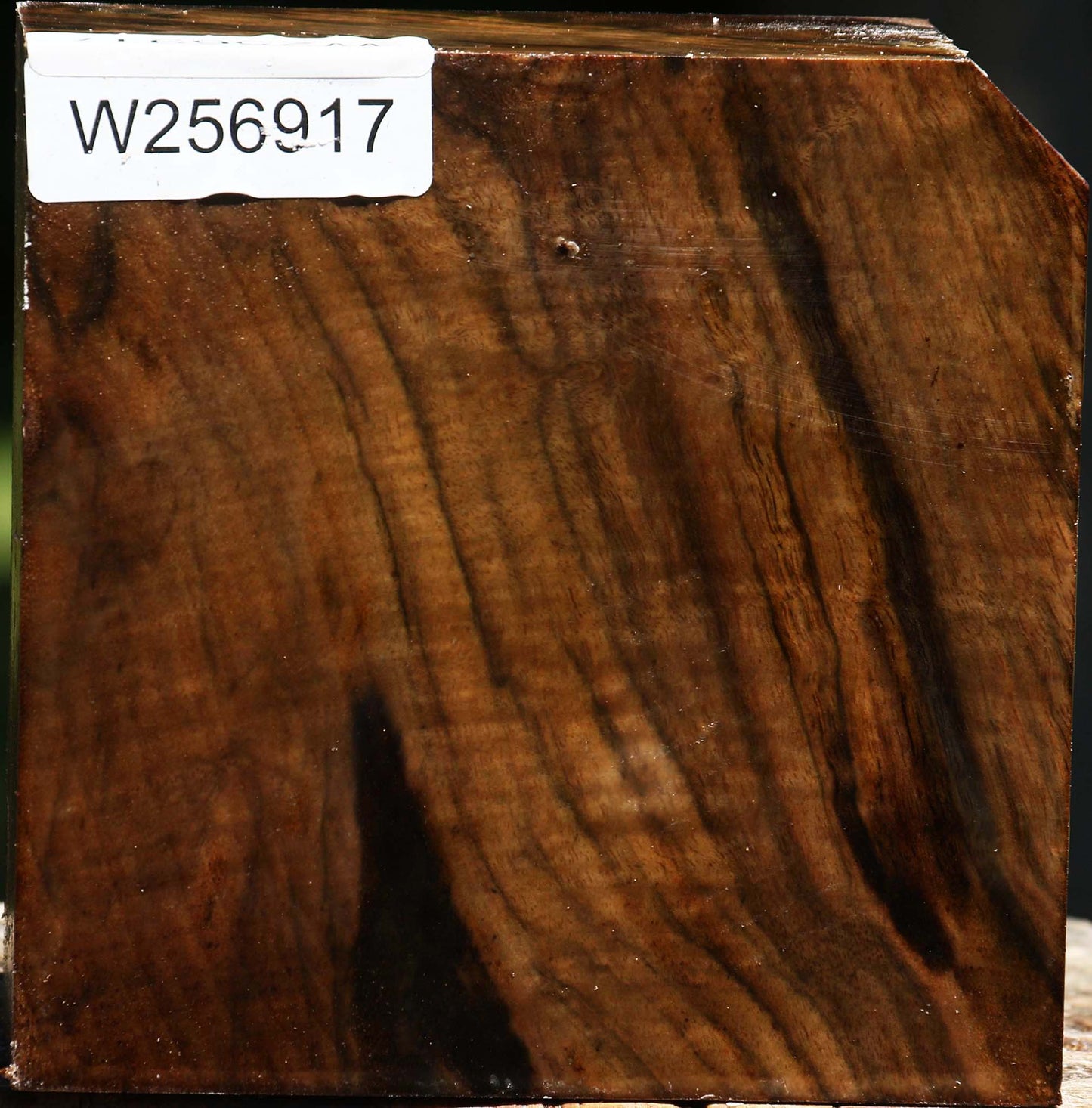 Figured Claro Walnut Bowl Blank