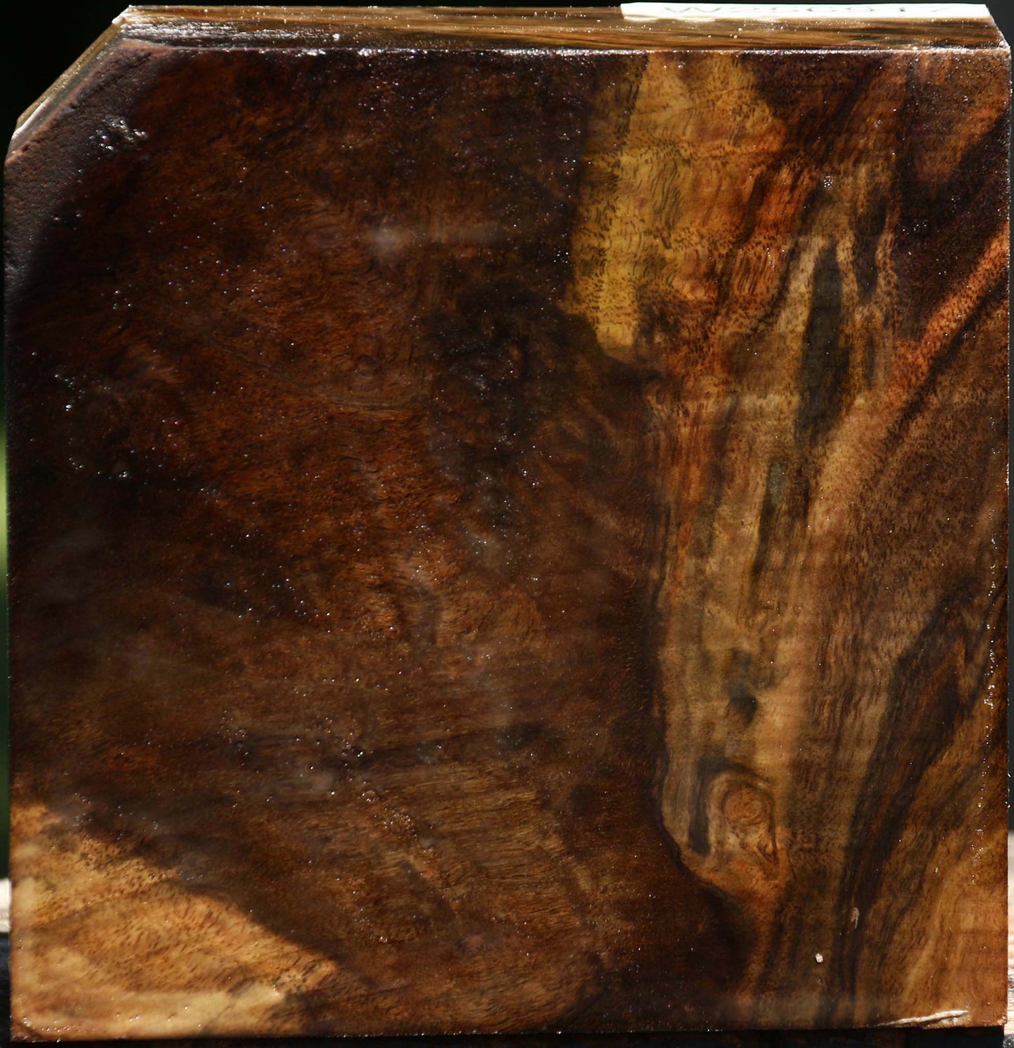 Figured Claro Walnut Bowl Blank