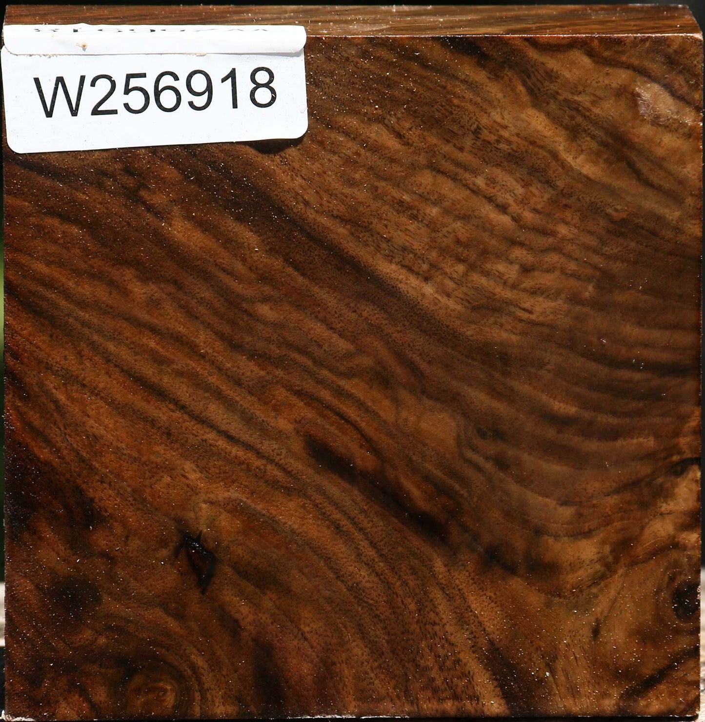 Figured Claro Walnut Bowl Blank
