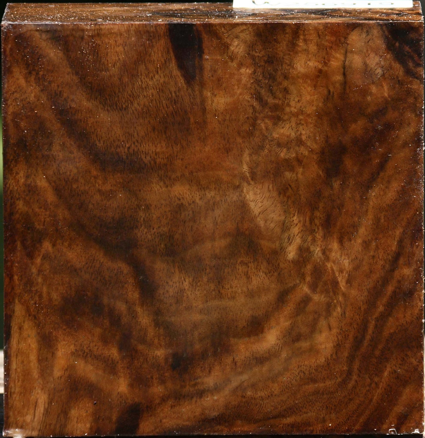 Claro Walnut Bowl Blank